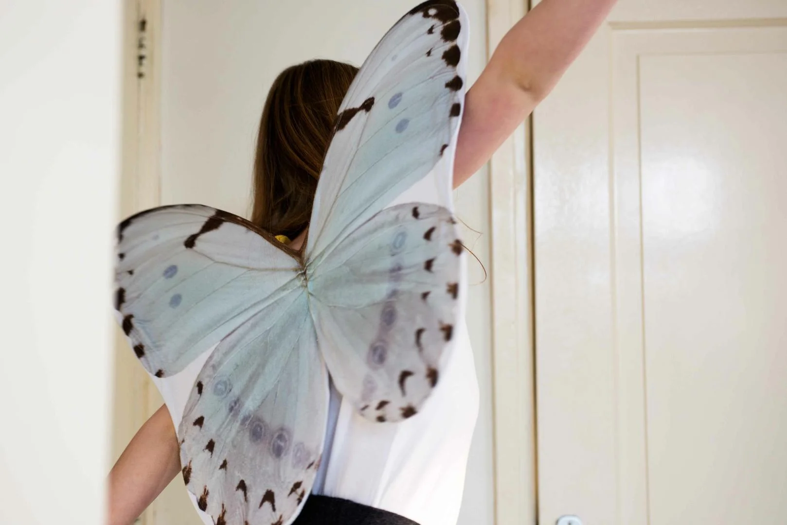 Foldable wings to fly away