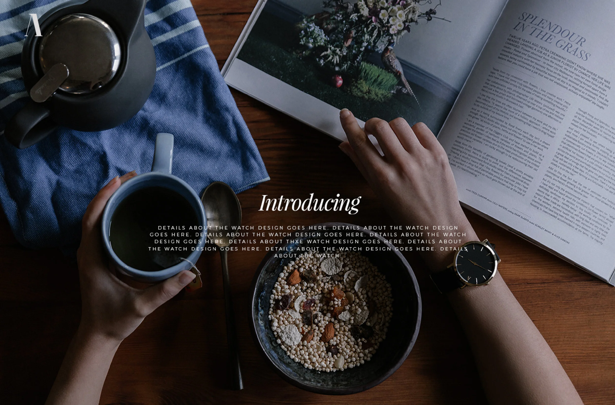 Screen Shot 2019-02-03 at 4.41.19 PM copy.jpg