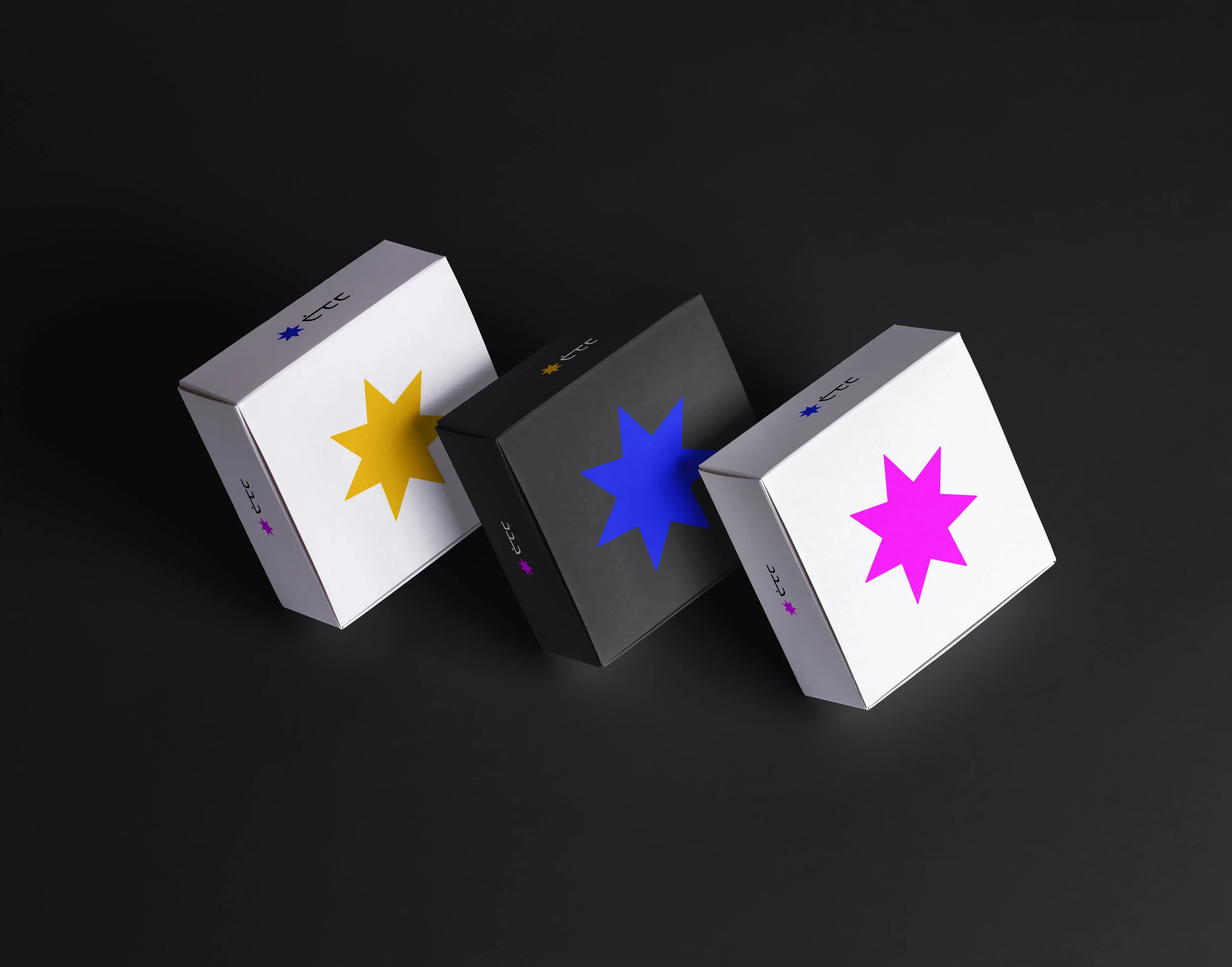 Square-Boxes-Packaging-Mockup-vol2 copy.jpg