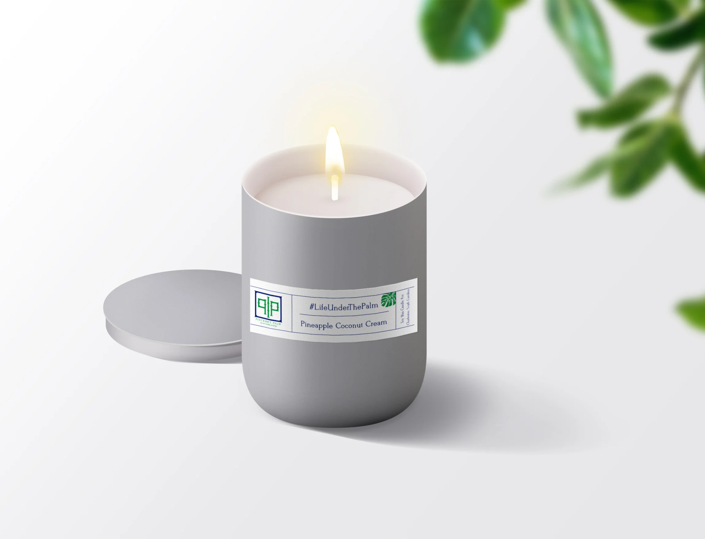Candle_PinckneyPalm.jpg