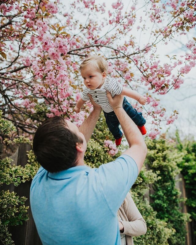 Flying into the weekend like...✈️
//
//
Does anyone have any fun plans this weekend? \\
\\
#kellyfridlinedesign #interiors #interiordesigner #sharemysquare #howyouhome #roomhints #maketimefordesign #smmakelifebeautiful #design123 #dreamspace #family 