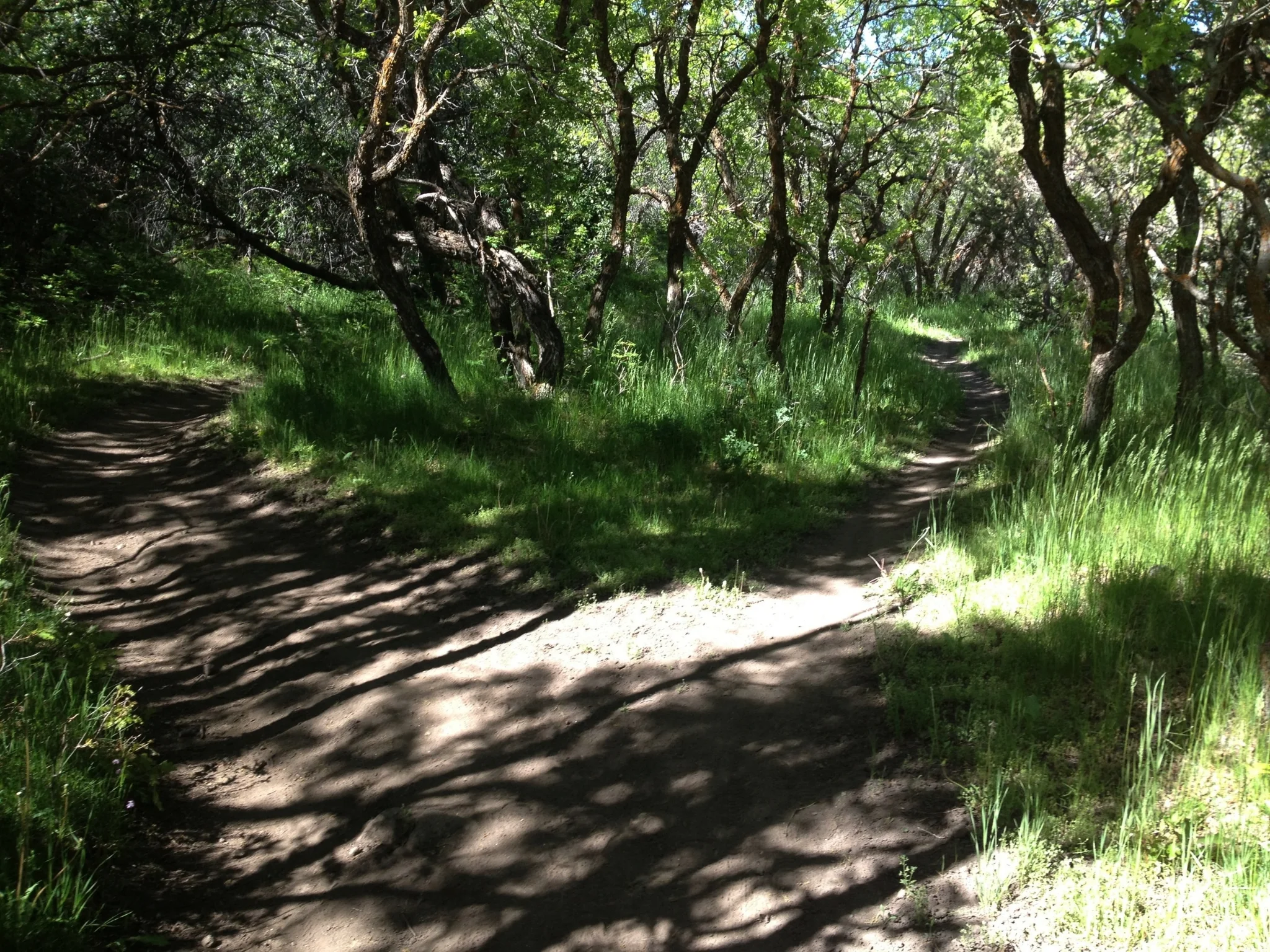 2013-06-08-09-56-57.jpg