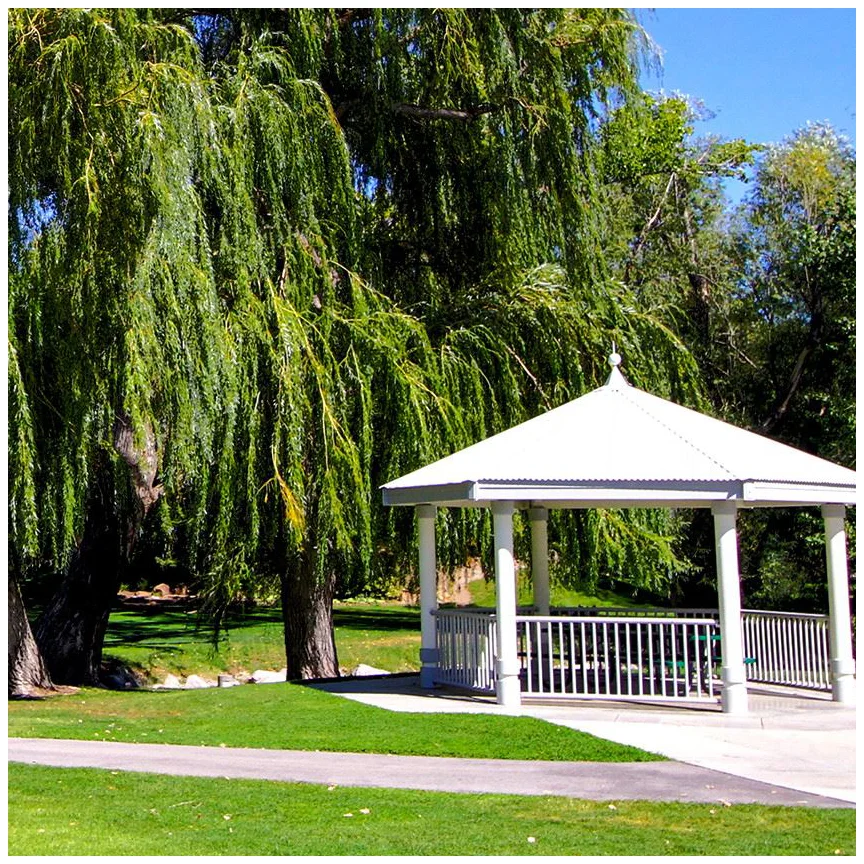 murraypark.jpg