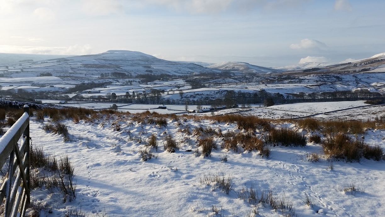 Winter view