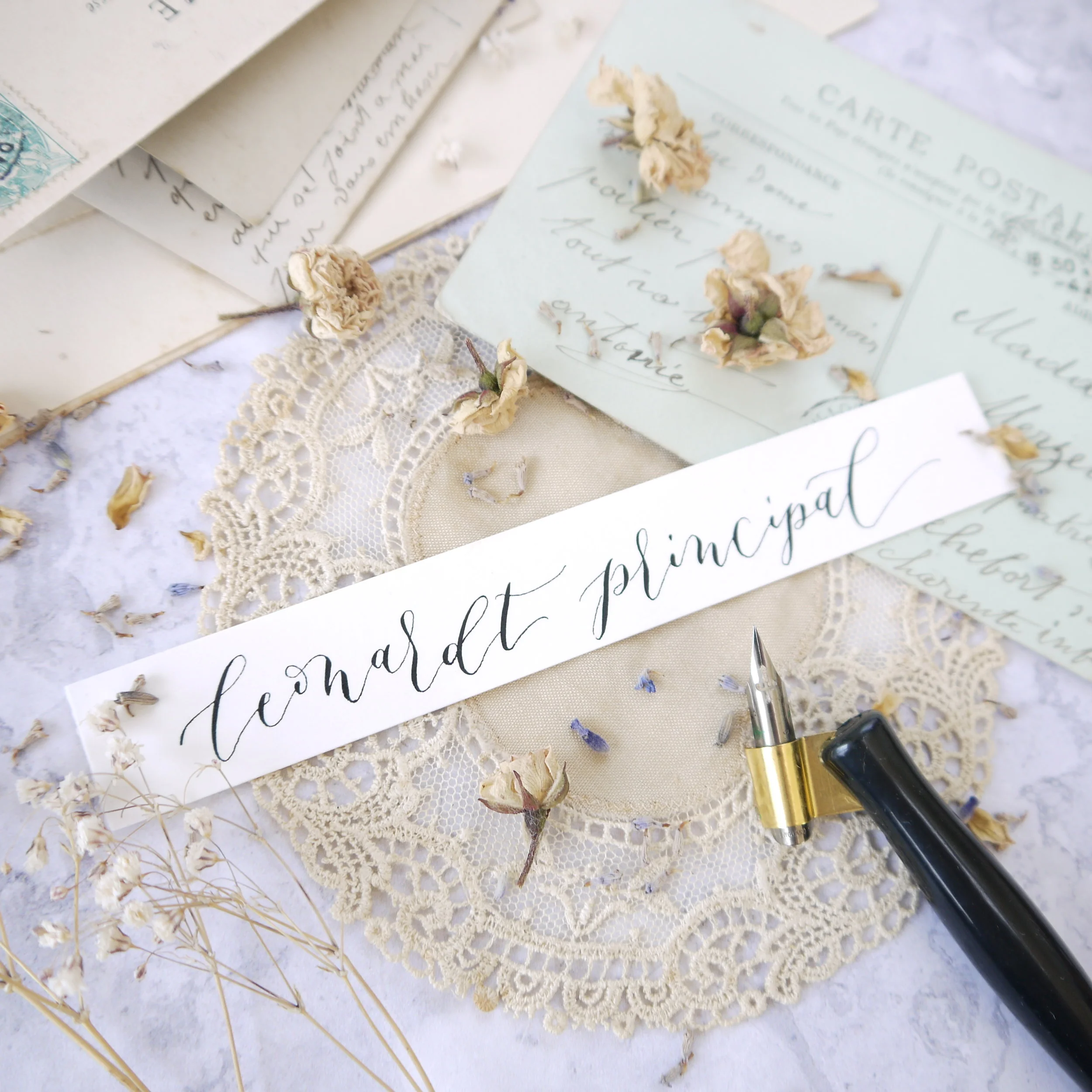 leonardt-nibs-for-copperplate