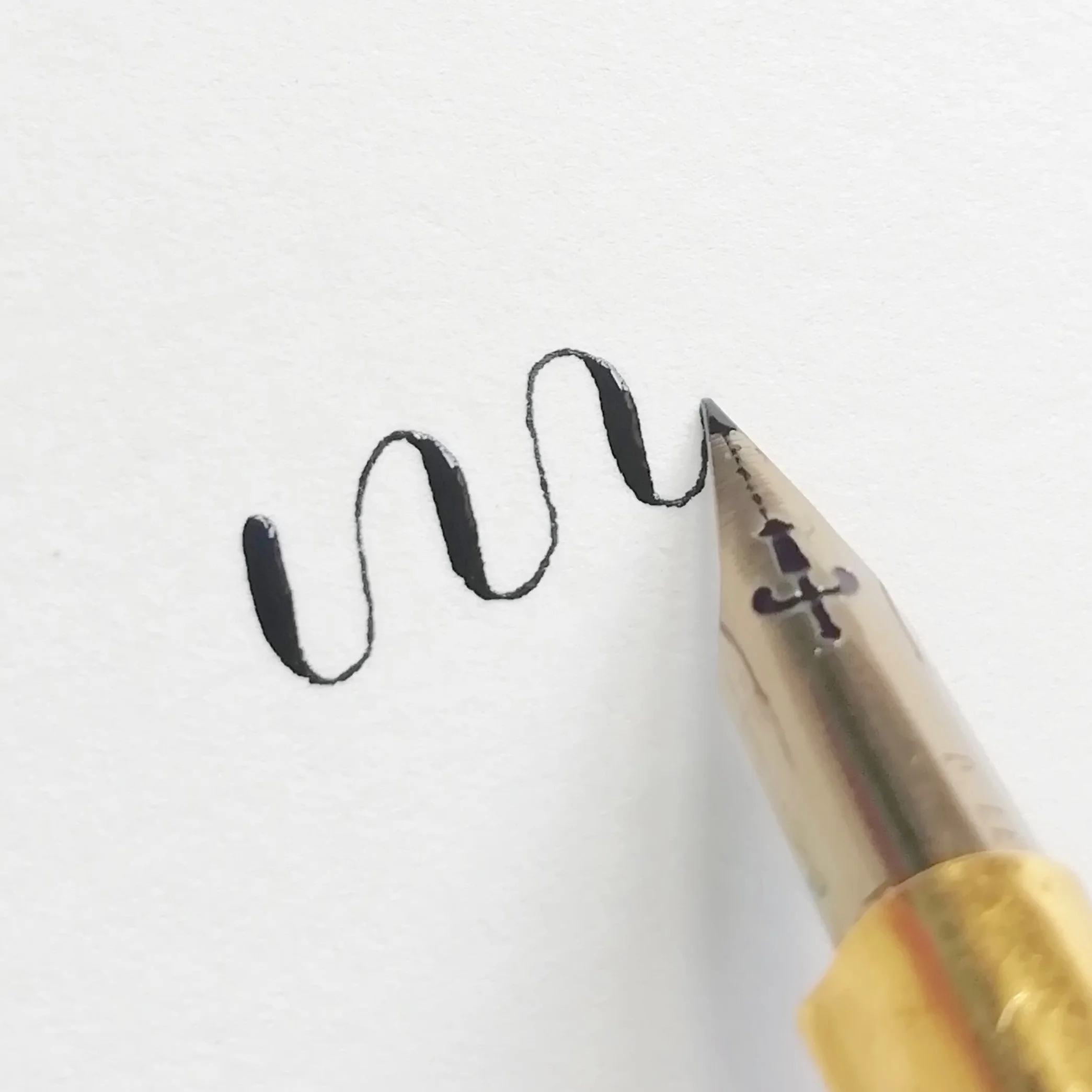 Zebra G Nibs for Beginners, Modern Calligraphy Nibs Writing Gift, Dip Pen Calligraphy  Nibs Set, Flexible Nibs Personalised Gift 