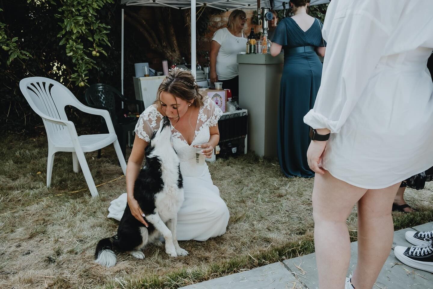 Let&rsquo;s talk dogs at weddings and being a dog owner myself, I love seeing dogs at weddings 🐕❤️. Not all dogs can attend weddings for a number reasons though. If my dog were able to attend my wedding, I would have him there in a heartbeat! 

If y