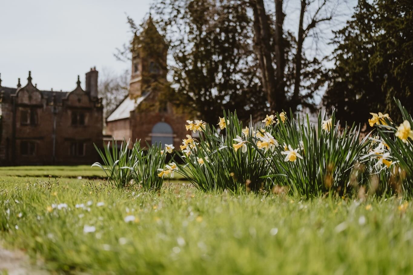 Spring has sprung 🌿 and I do love a Springtime wedding.  What&rsquo;s your favourite wedding season?  Mine are definitely Autumn, winter and Spring 😊 all for very different reasons.  I cannot wait to share more springtime weddings with you.

#sprin