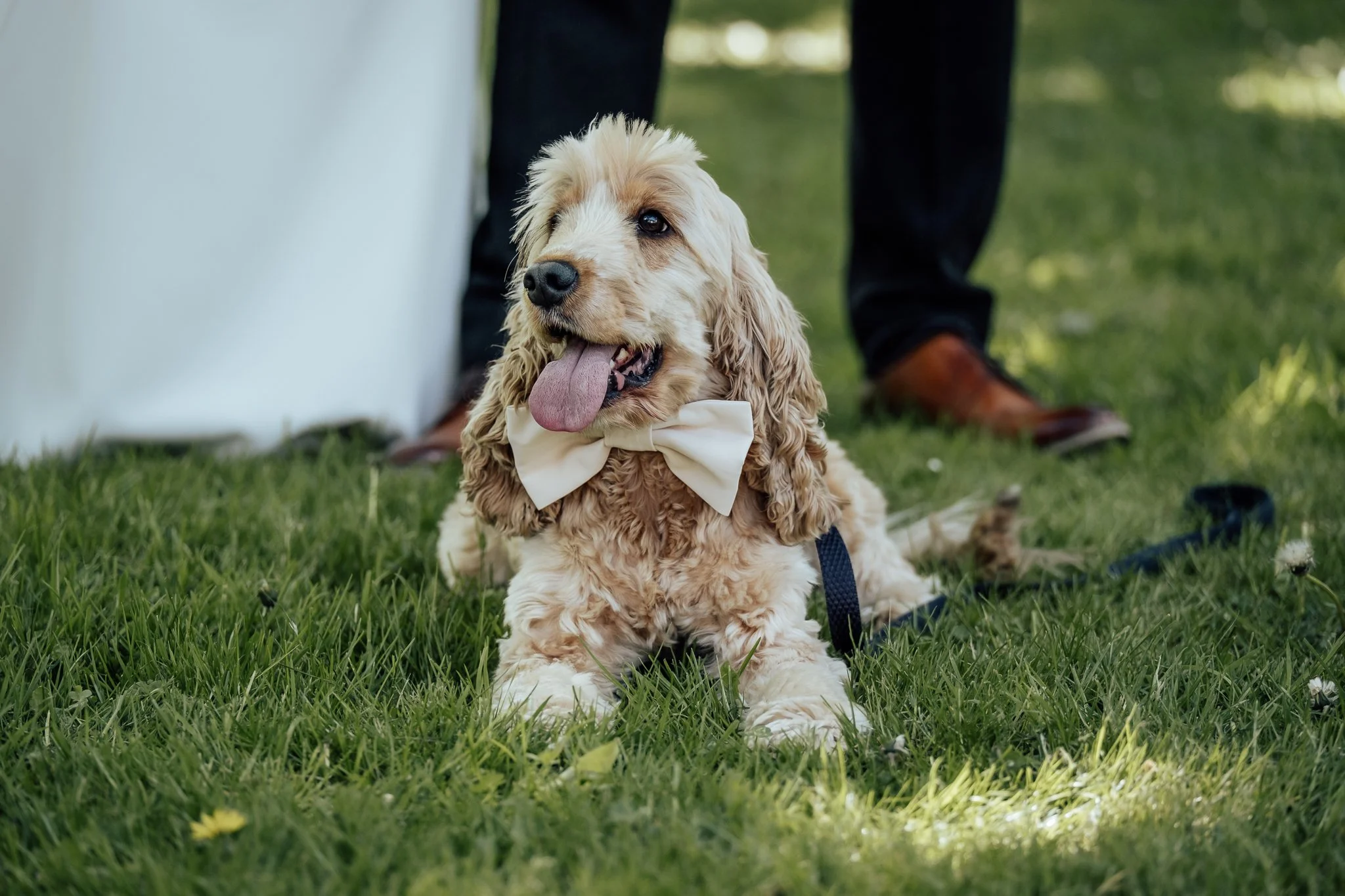 Pimm-Hill-Wedding-Photography-Shropshire-31.jpg