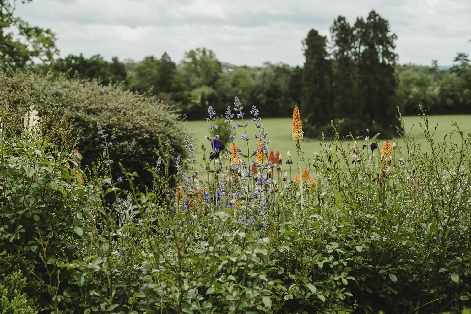 Micro-Wedding-Kilworth-House-Leicestershire-3.jpg