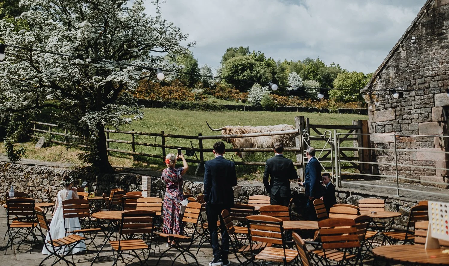 Ashes-Barns-Summer-Wedding-Staffordshire-42.jpg