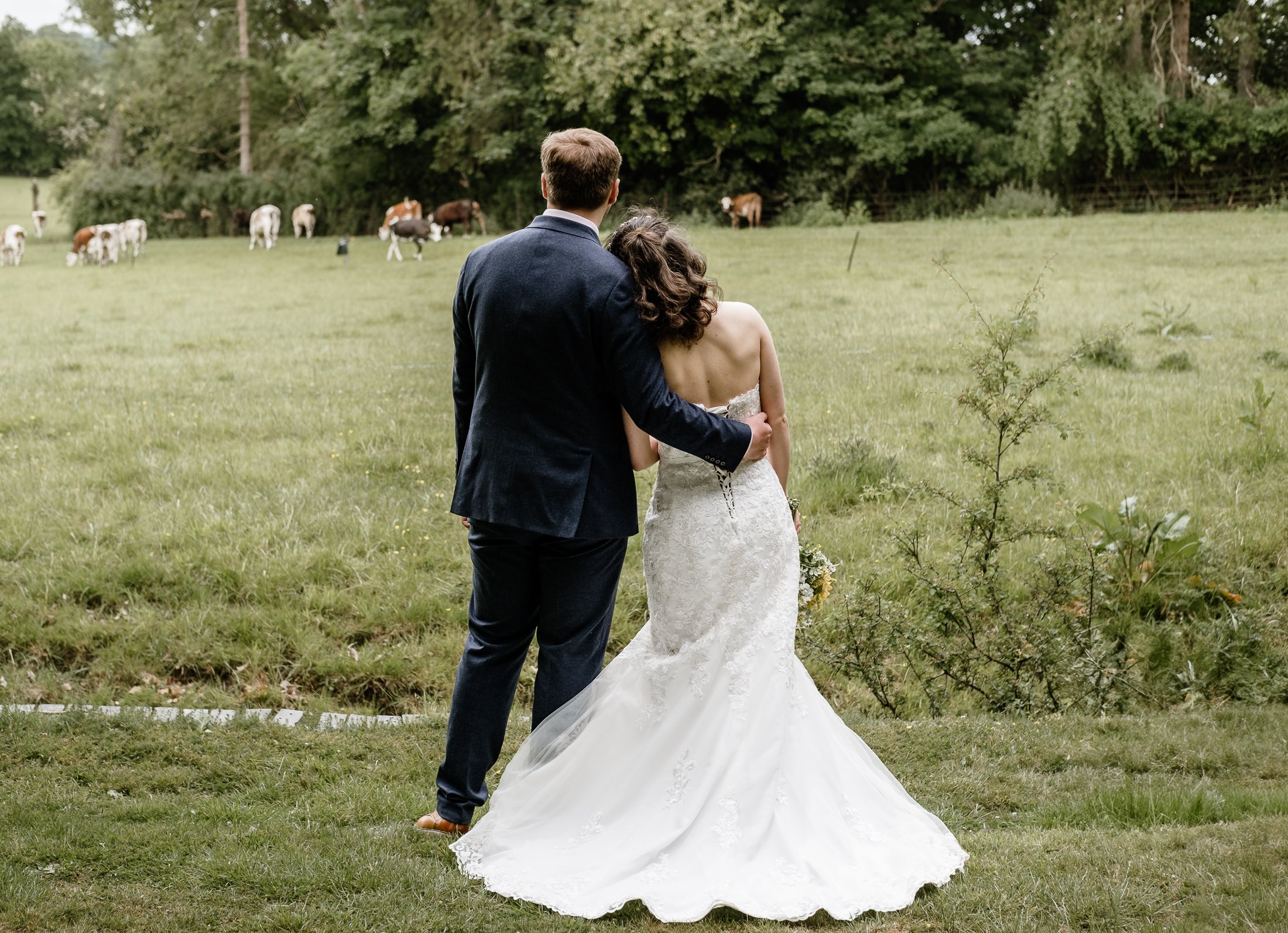 bride and groom looking out at the cows at Kilworth House Leicestershire
