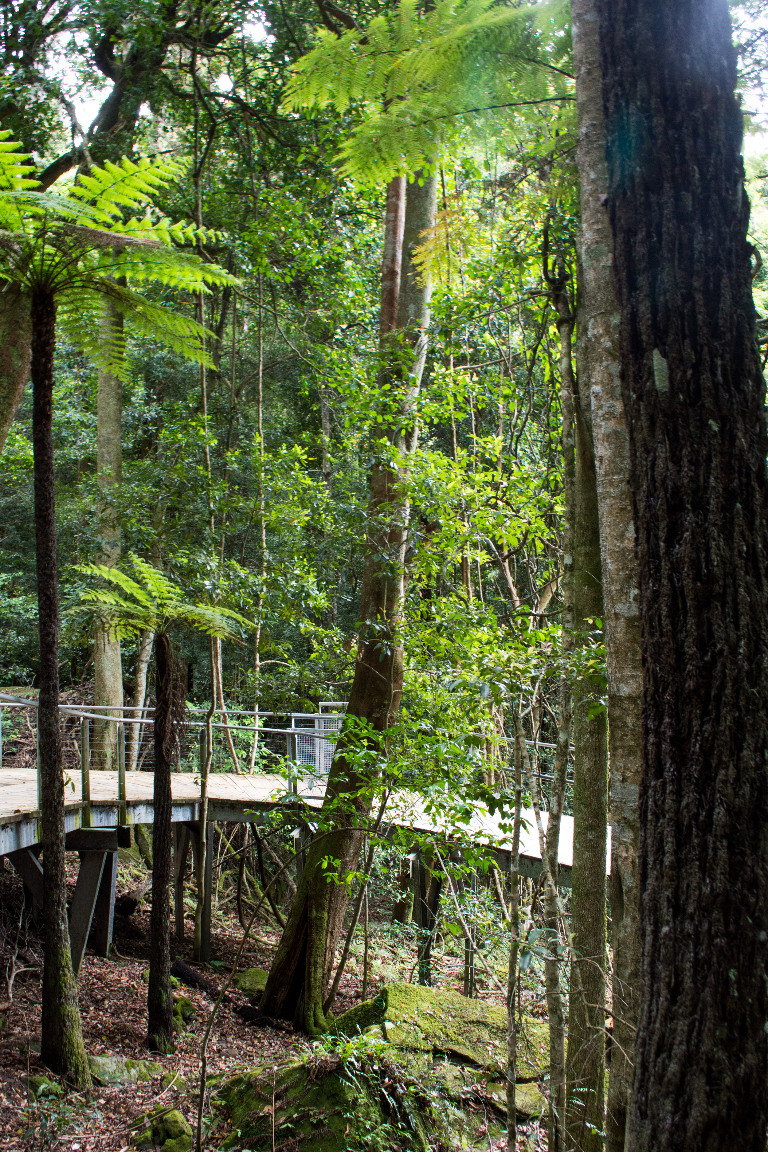 Scenic Walkway