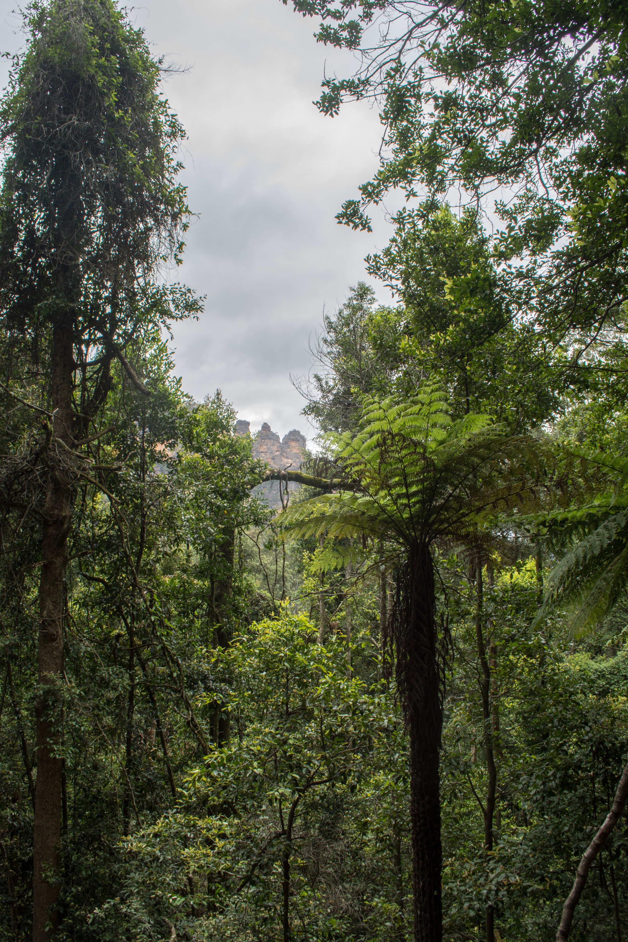 Three Sisters from the Scenic Walkway