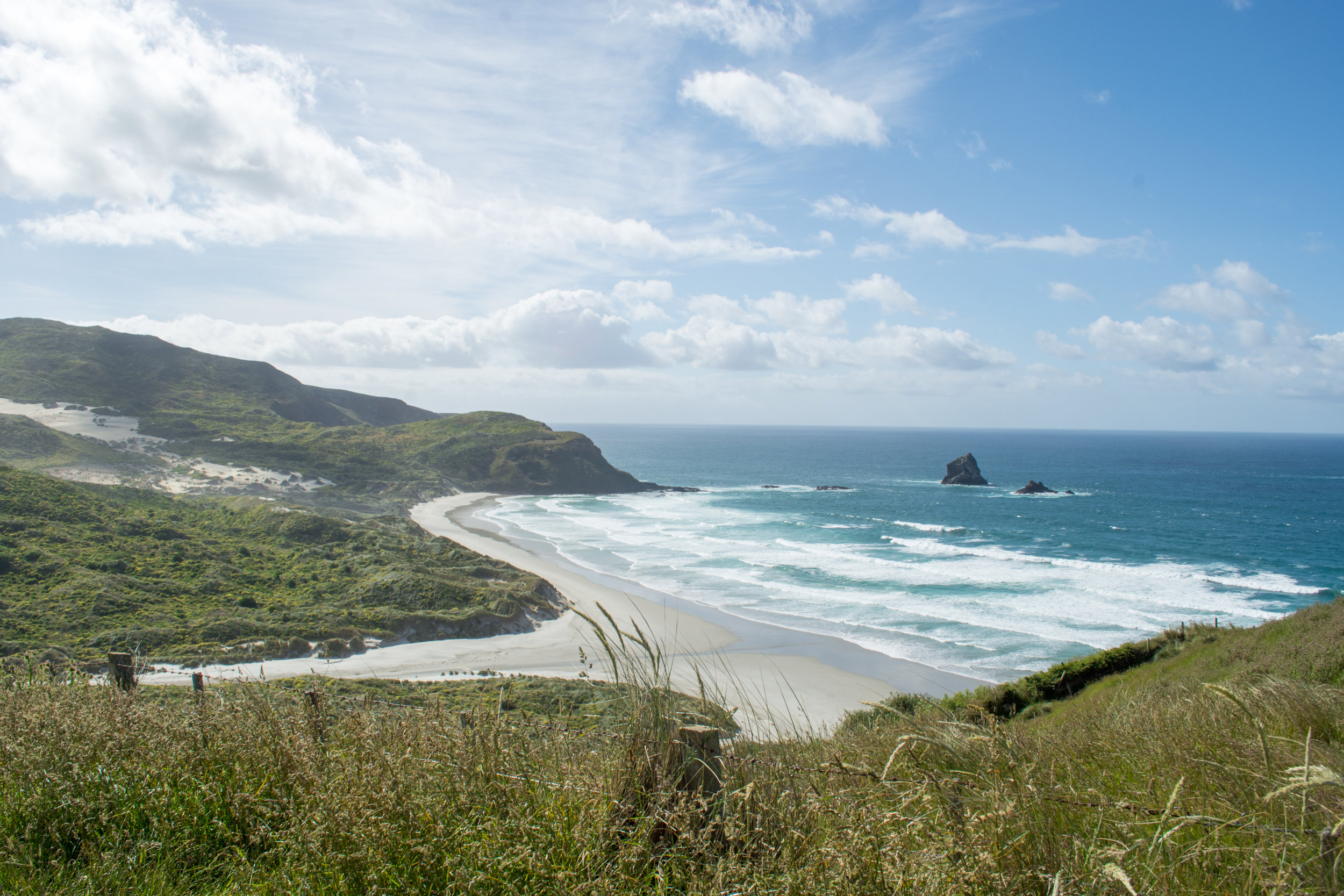 Sandfly Bay on the Otago Peninsula