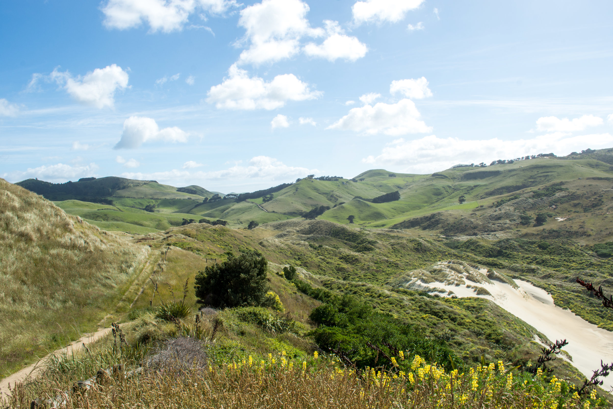 Walk down to Sandfly Bay