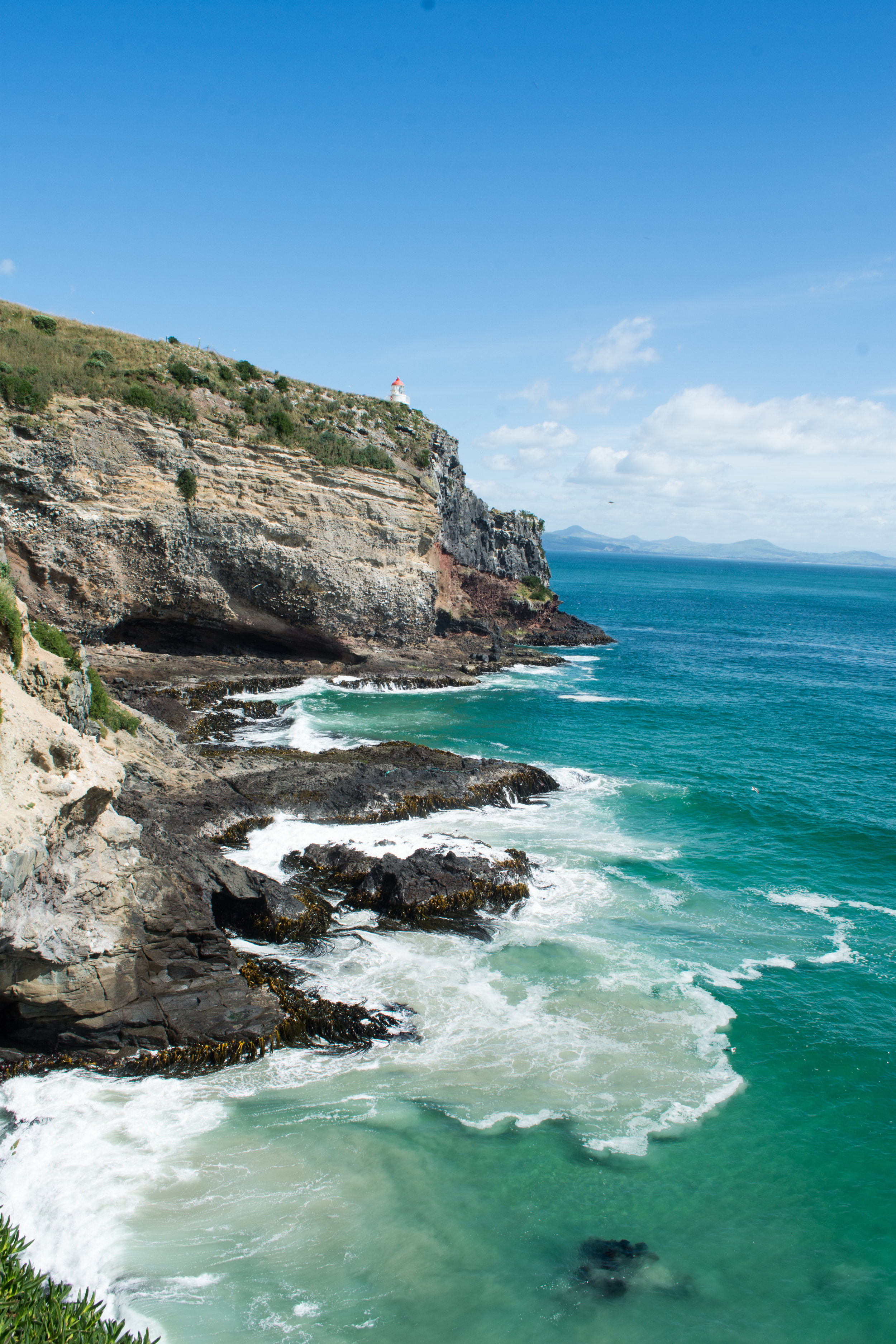 Coastal view from Royal Albatross Centre