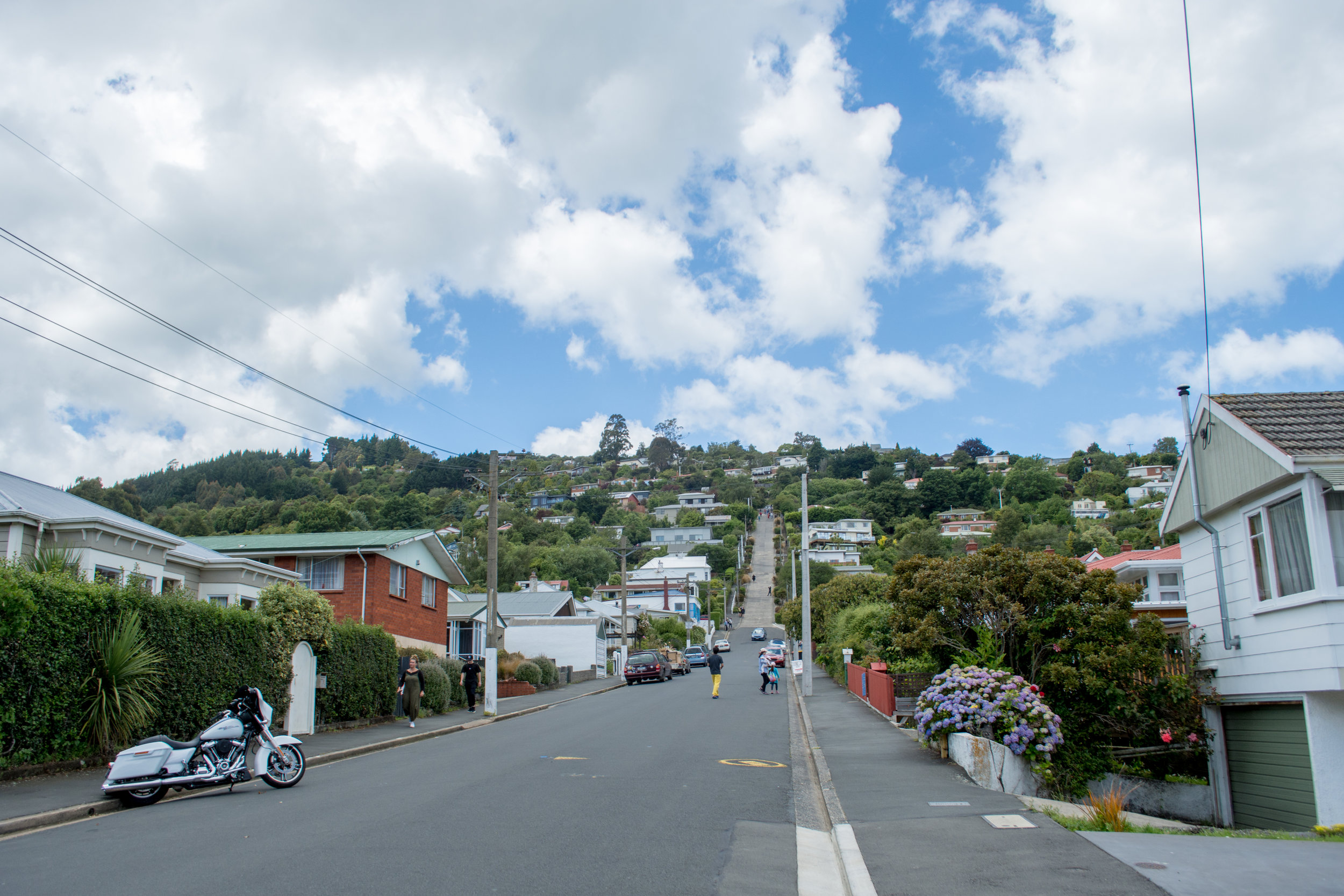 Baldwin Street – The World’s Steepest Street