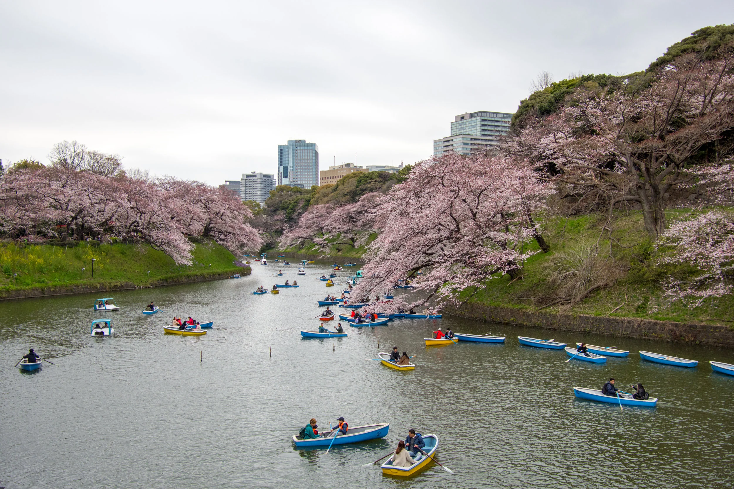 Chidorigafuchi Greenway in Tokyo