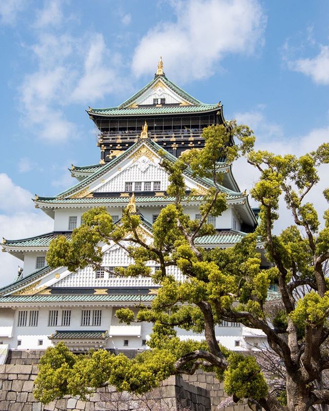 📍Osaka Castle, Japan
___
#osaka #japan #osakacastle #japanese #japanesecastle #blueskies #asia #castlesoftheworld #history #osakajapan #ahappypassport #asian #scenicview #historic #restoration  #roamtheplanet #vacationwolf #TLPicks #travelblogging #
