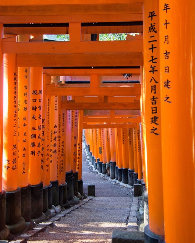 📍Kyoto, Japan⠀⠀⠀⠀⠀⠀⠀⠀⠀
__⠀⠀⠀⠀⠀⠀⠀⠀⠀
#kyoto #fushimiinaritaisha #fushimiinari #redgates #gate #japan #japanese #japanesegates #shrine #orangegates #kyotojapan #path #asia #asiatravel #mustseejapan #mustseekyoto #ahappypassport #wanderer #travelphoto #