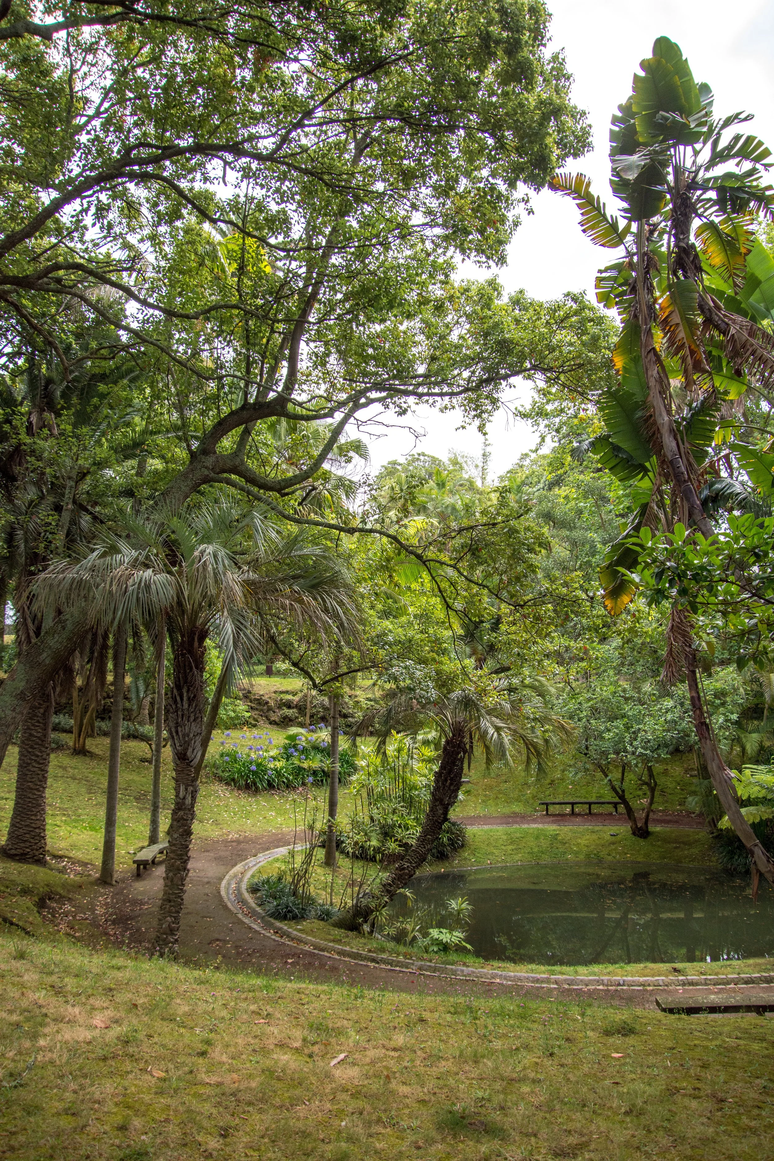António Borges Garden – São Miguel island