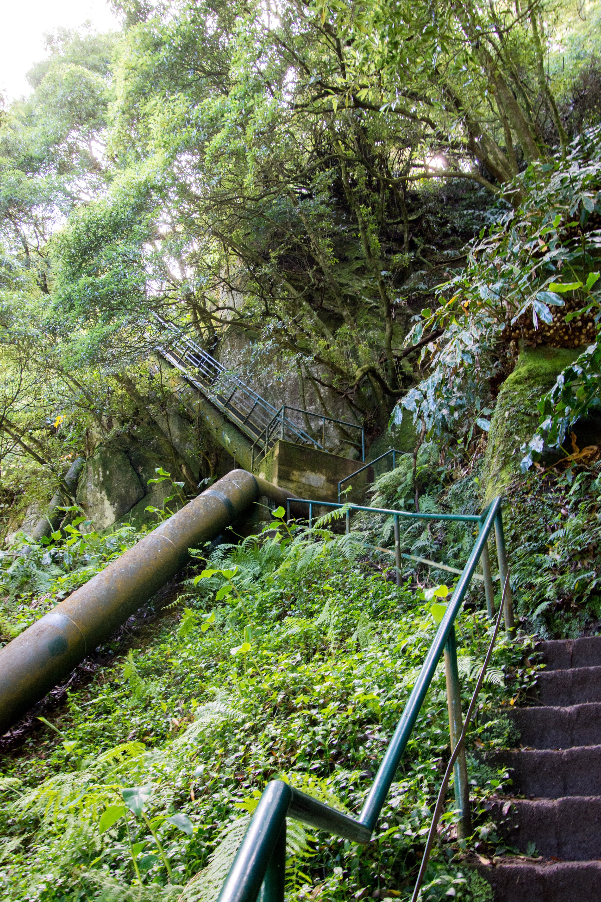 Salto do Cabrito Hike – São Miguel island