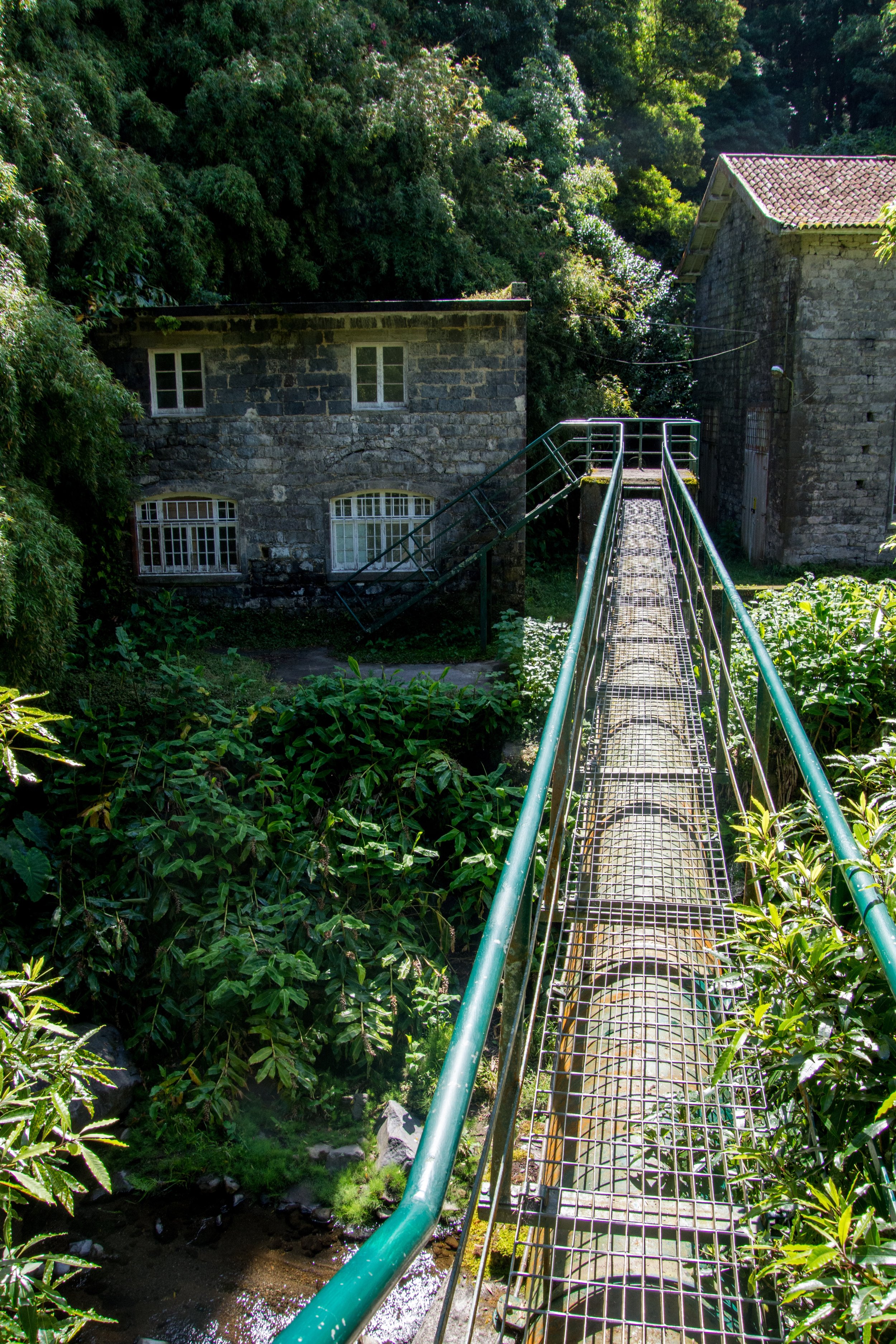 Salto do Cabrito Hike – São Miguel island