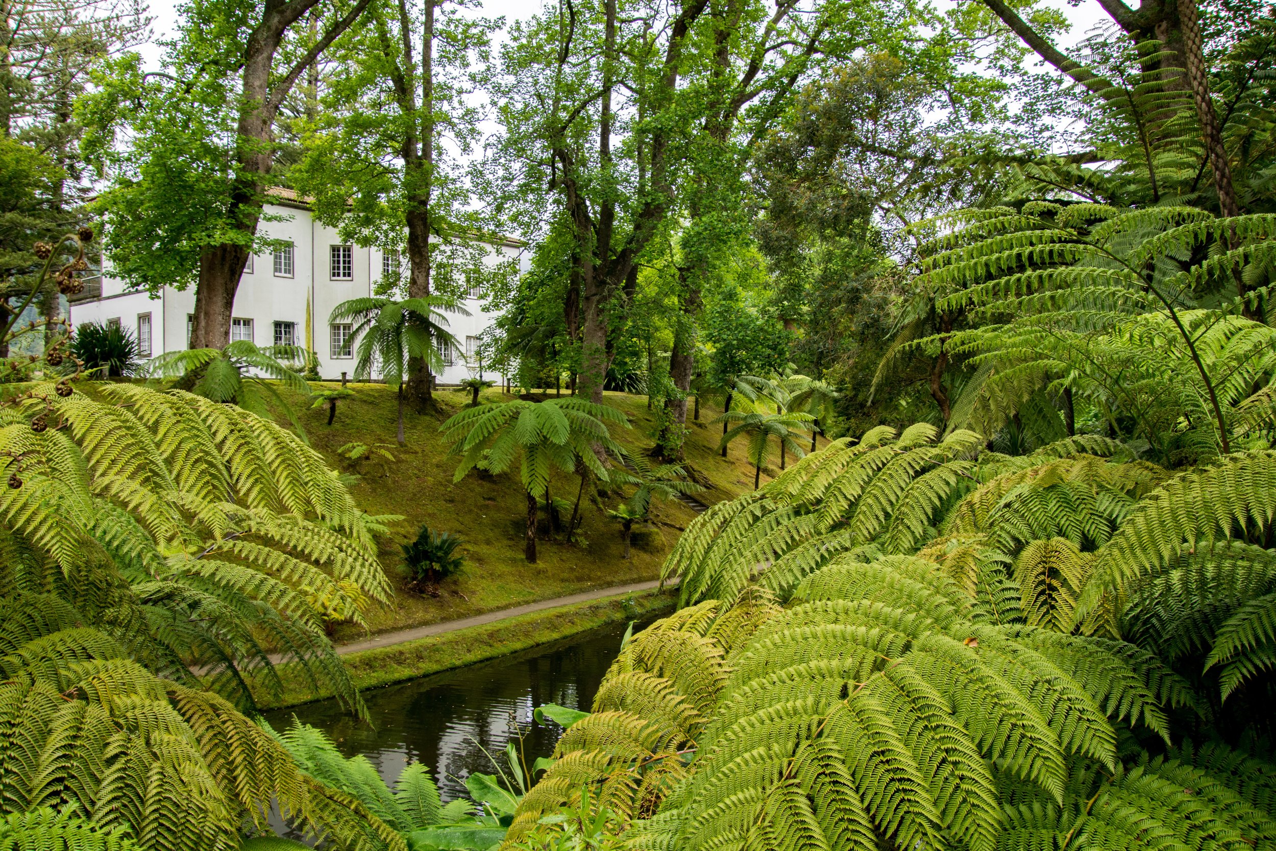 Parque Terra Nostra – Sao Miguel Island