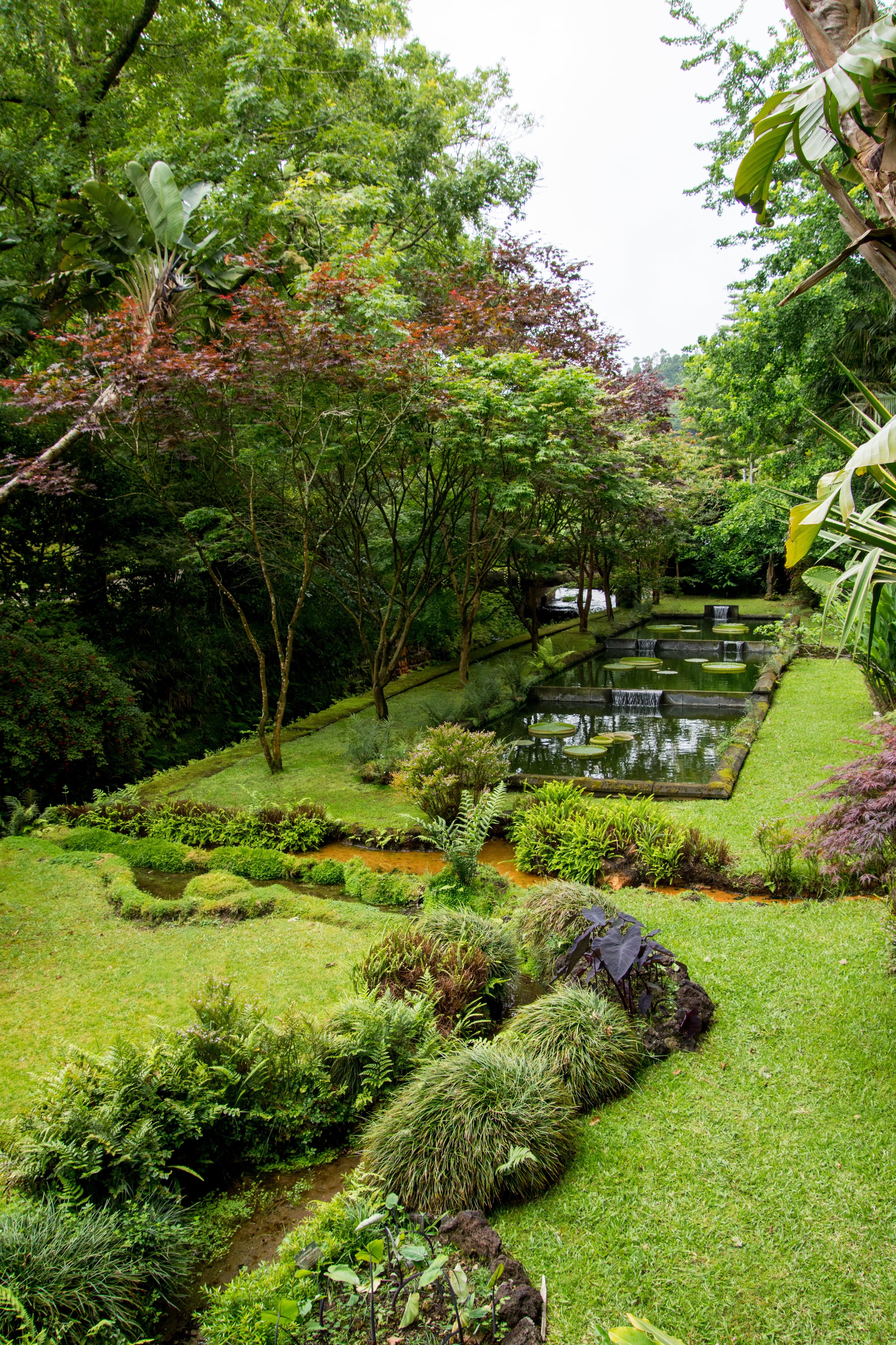 Parque Terra Nostra – Sao Miguel Island