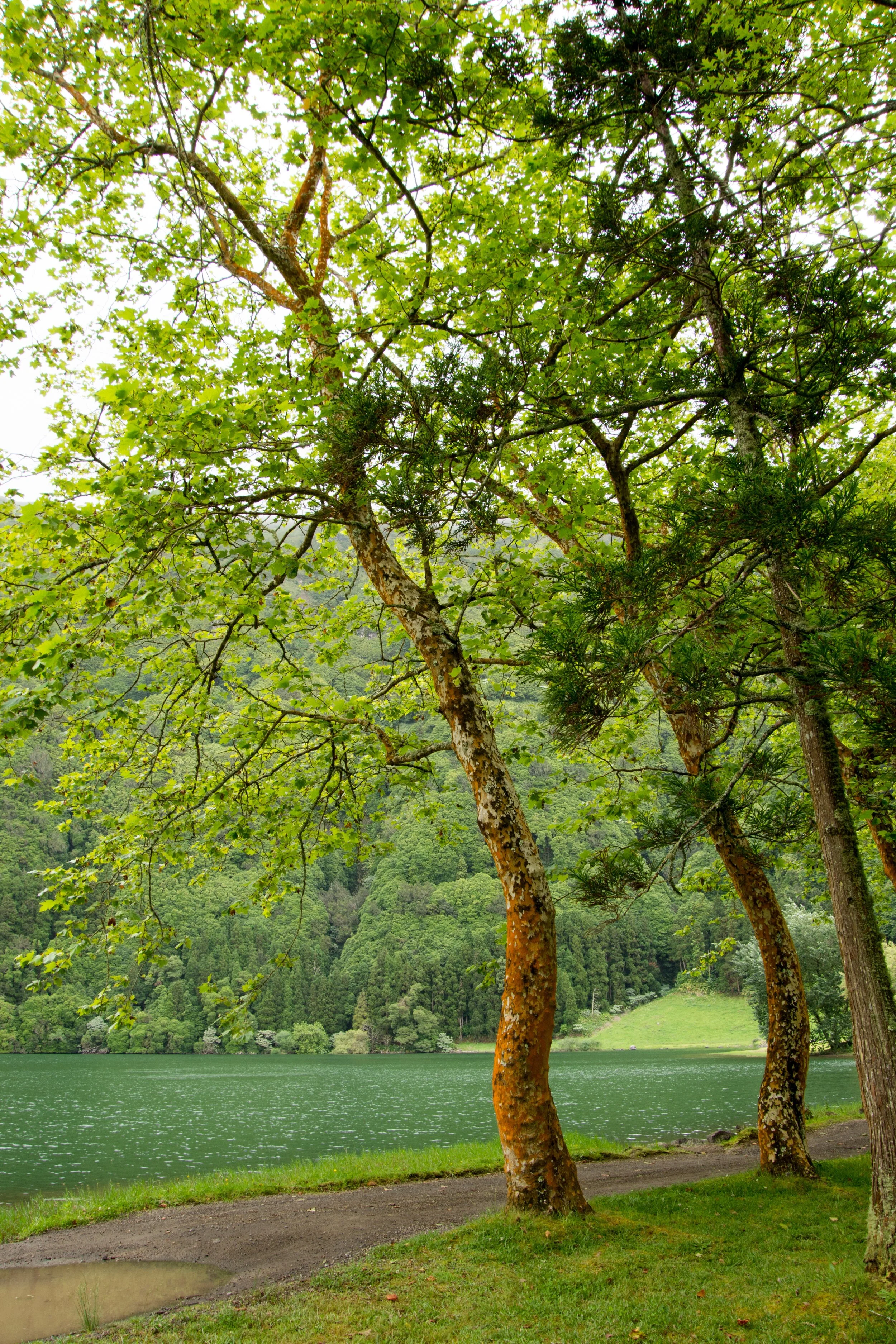 Sete Cidades – Sao Miguel Island