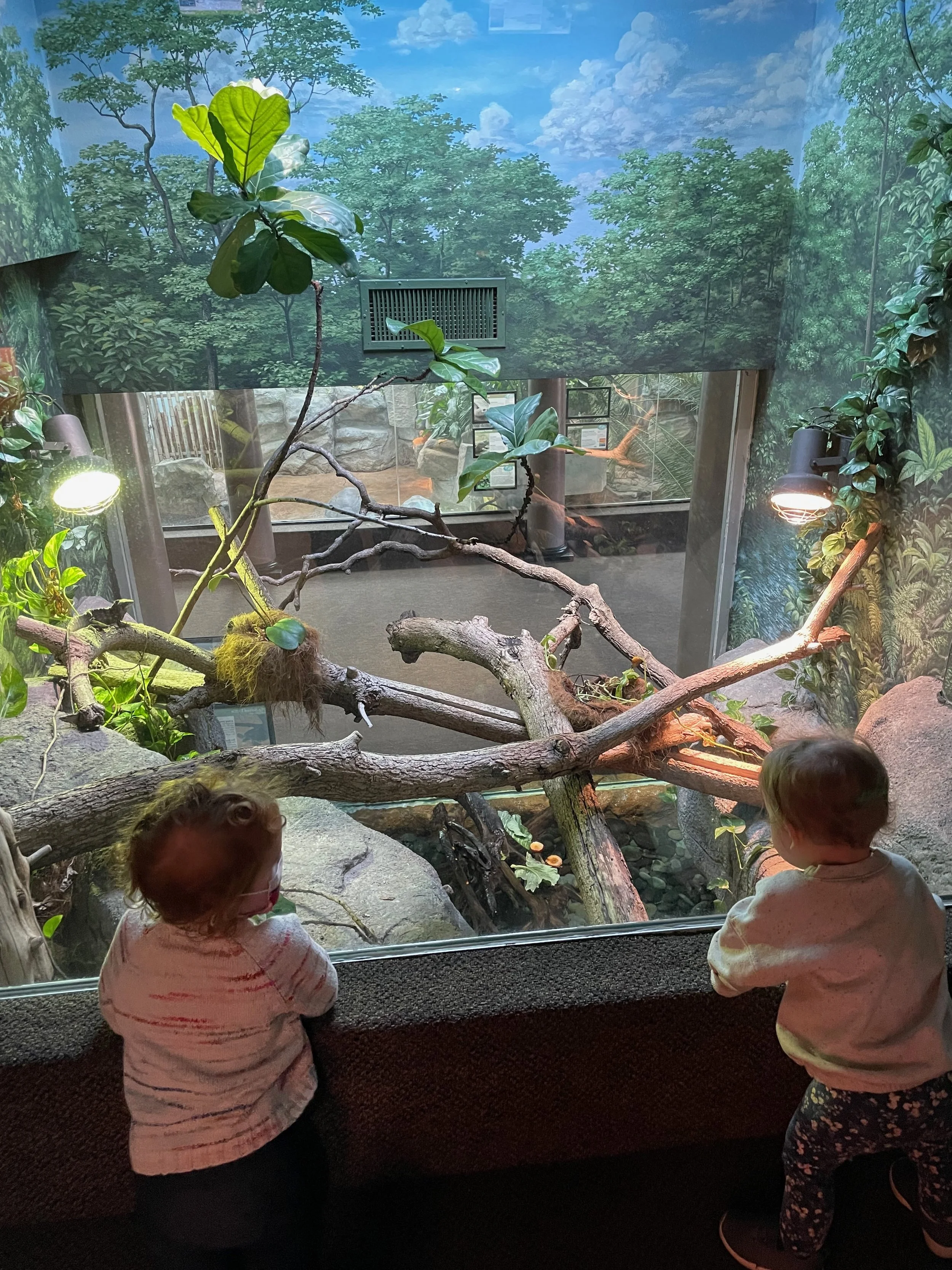 Saint Louis Zoo