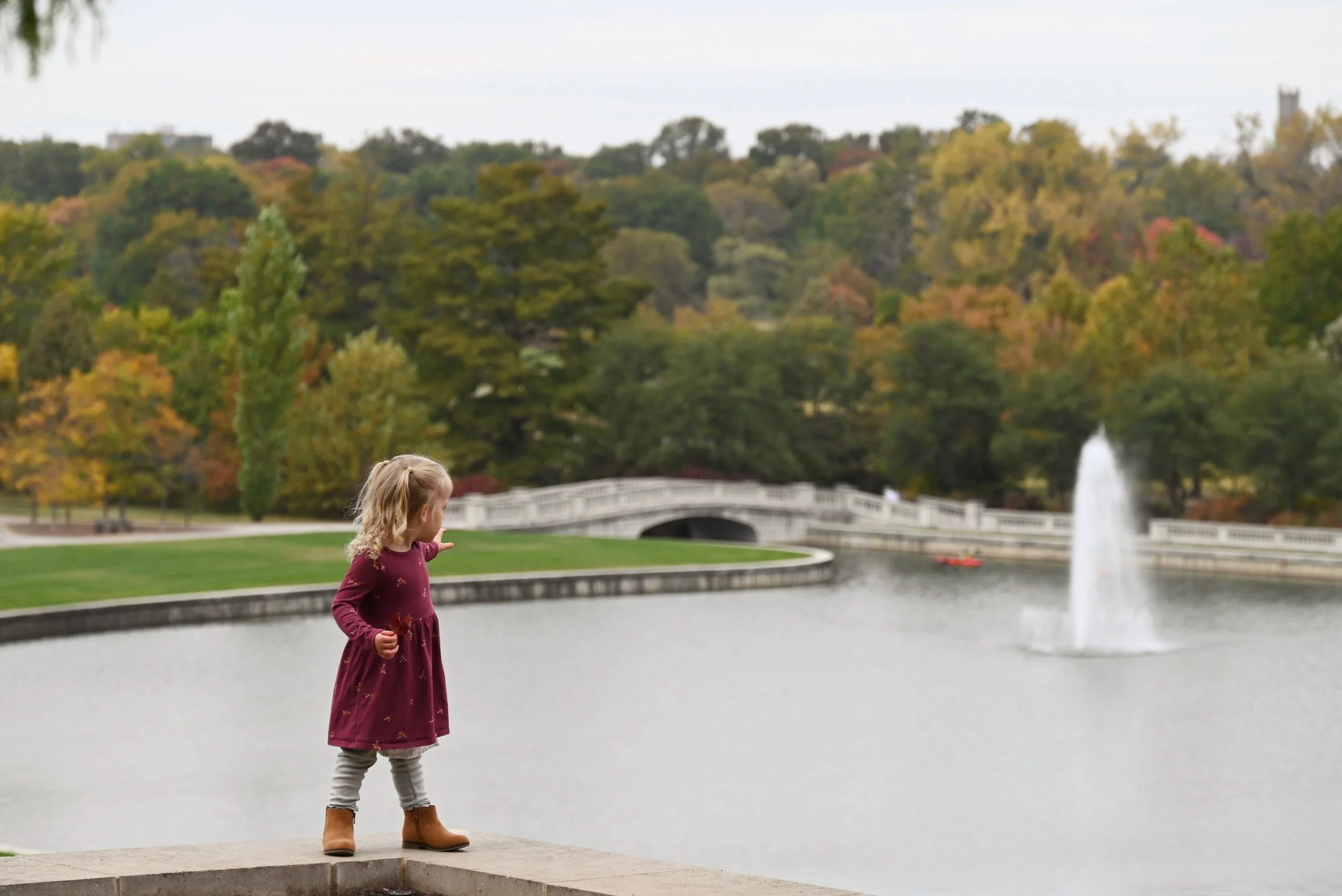 St. Louis Fall Foliage Guide: The Most Beautiful Places to See Autumn Colors in the City