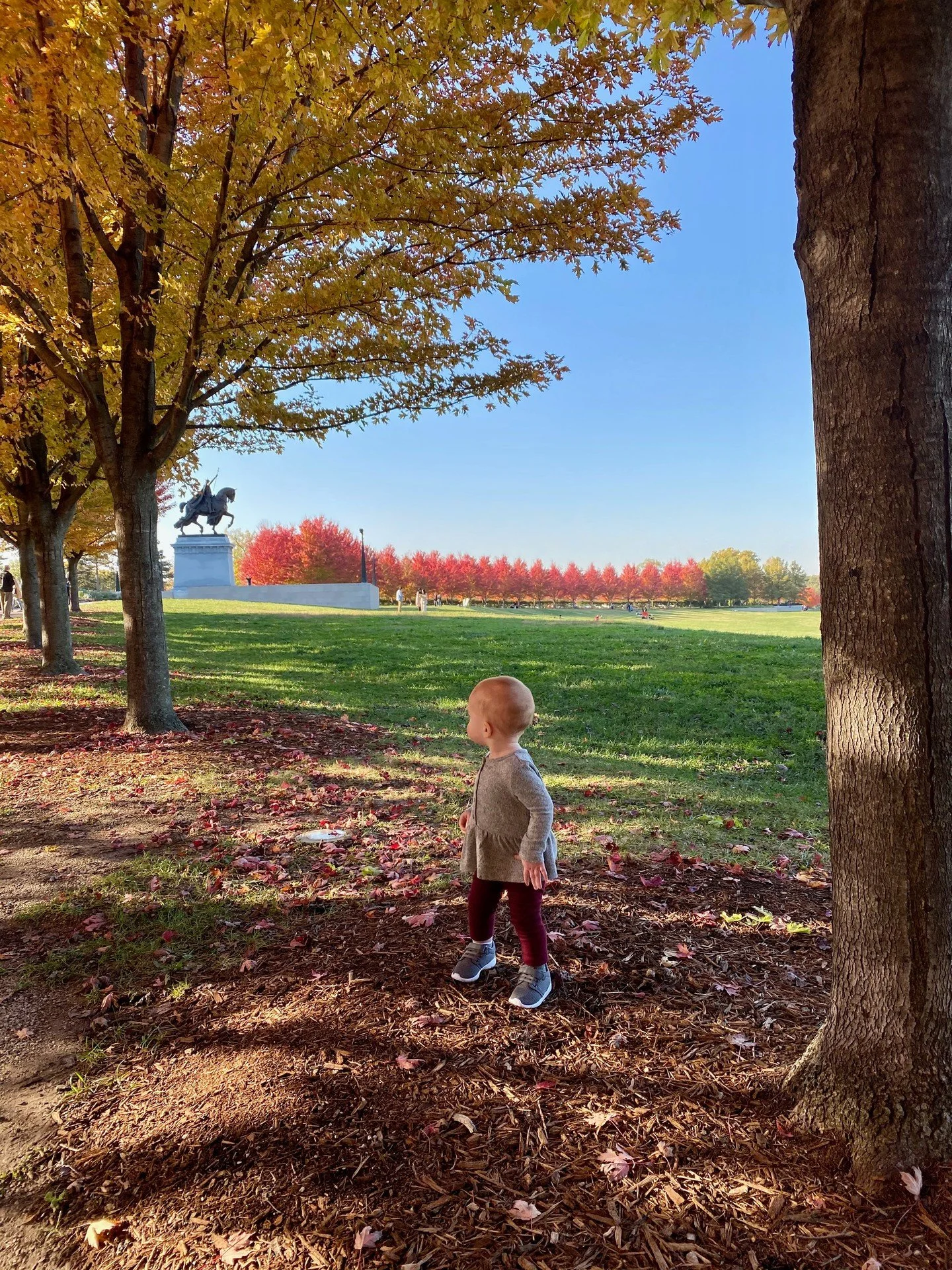 📍Art Hill in Forest Park - Saint Louis, MO, USA
Art hill is such a great spot in any season - from winter sledding to concerts and movie nights in the summer.  However my favorite time to visit is when the maples at the top of art hill show off in t