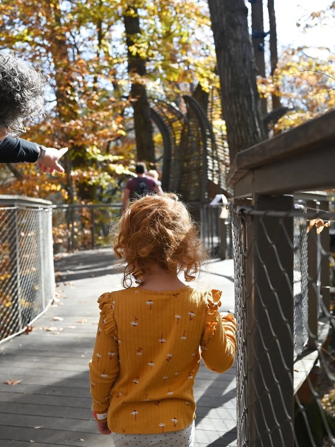 📍Fernbank Museum, Atlanta, Georgia
Love when the outdoor spaces of a museum rival the indoor spaces.  We spent almost as much time exploring the Wildwoods of the Fernbank Museum as the indoor exhibits.  Playgrounds, rope courses, elevated trails, an