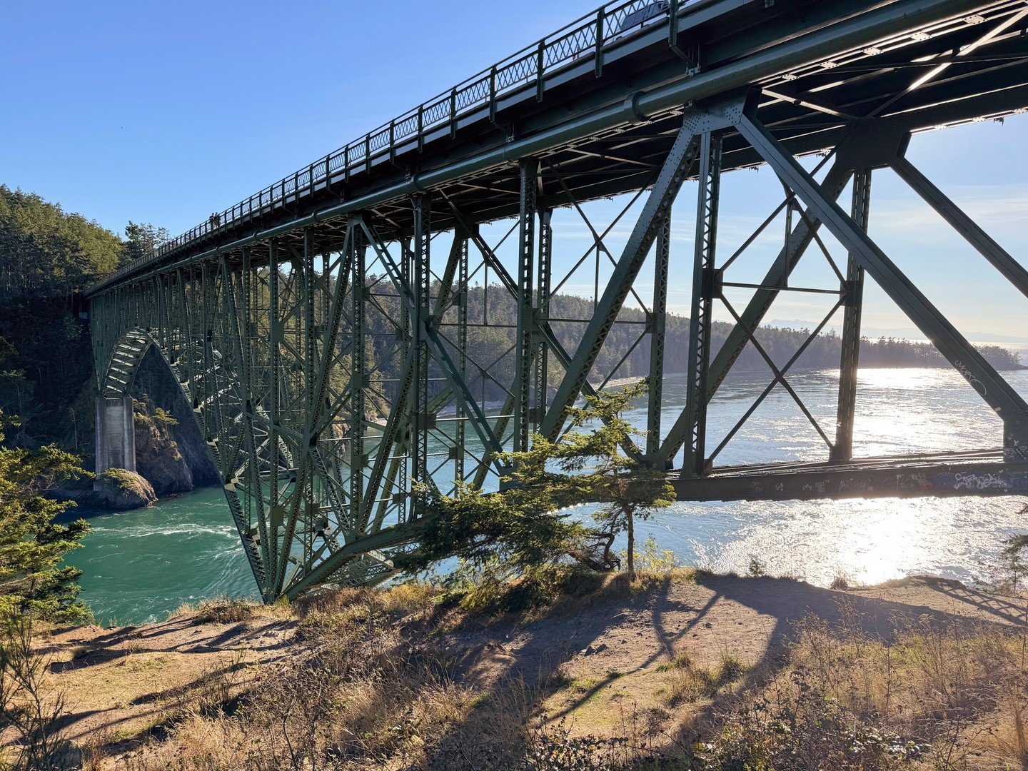 If you can manage to get a spot, I highly recommend stopping halfway across Deception Pass Bridge at Pass Island.  Or walking in from either side.

If you can, take the extra time to wander the trails on Pass Island and watch the tides roll through &