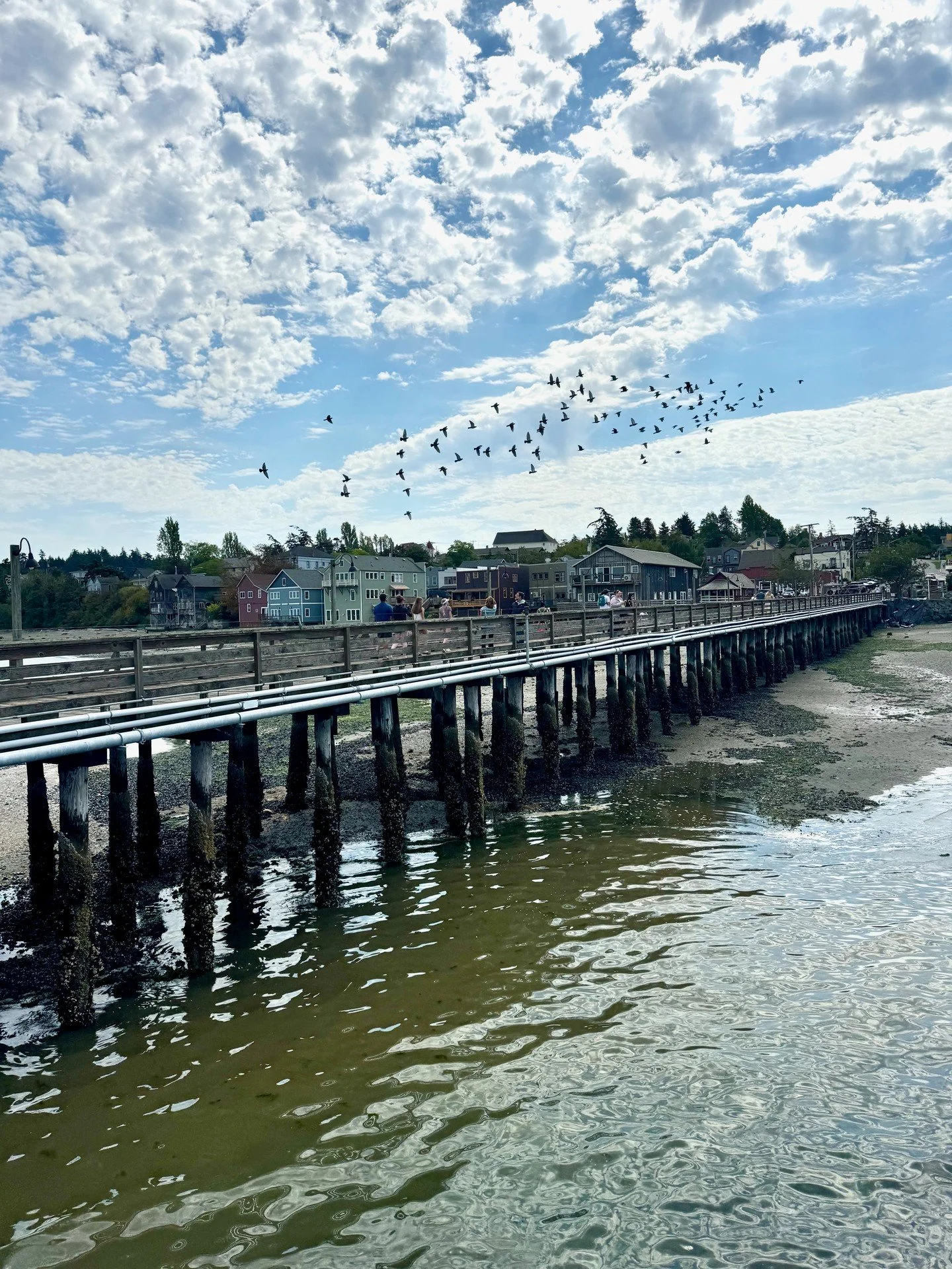 Practical Magic town:  Coupeville Wharf on Whidbey Island, WA

#whidbey #coupeville #washingtonstate #island #practicalmagic #clouds #lowtide #wharf #travelwithkids #familytrips #birds