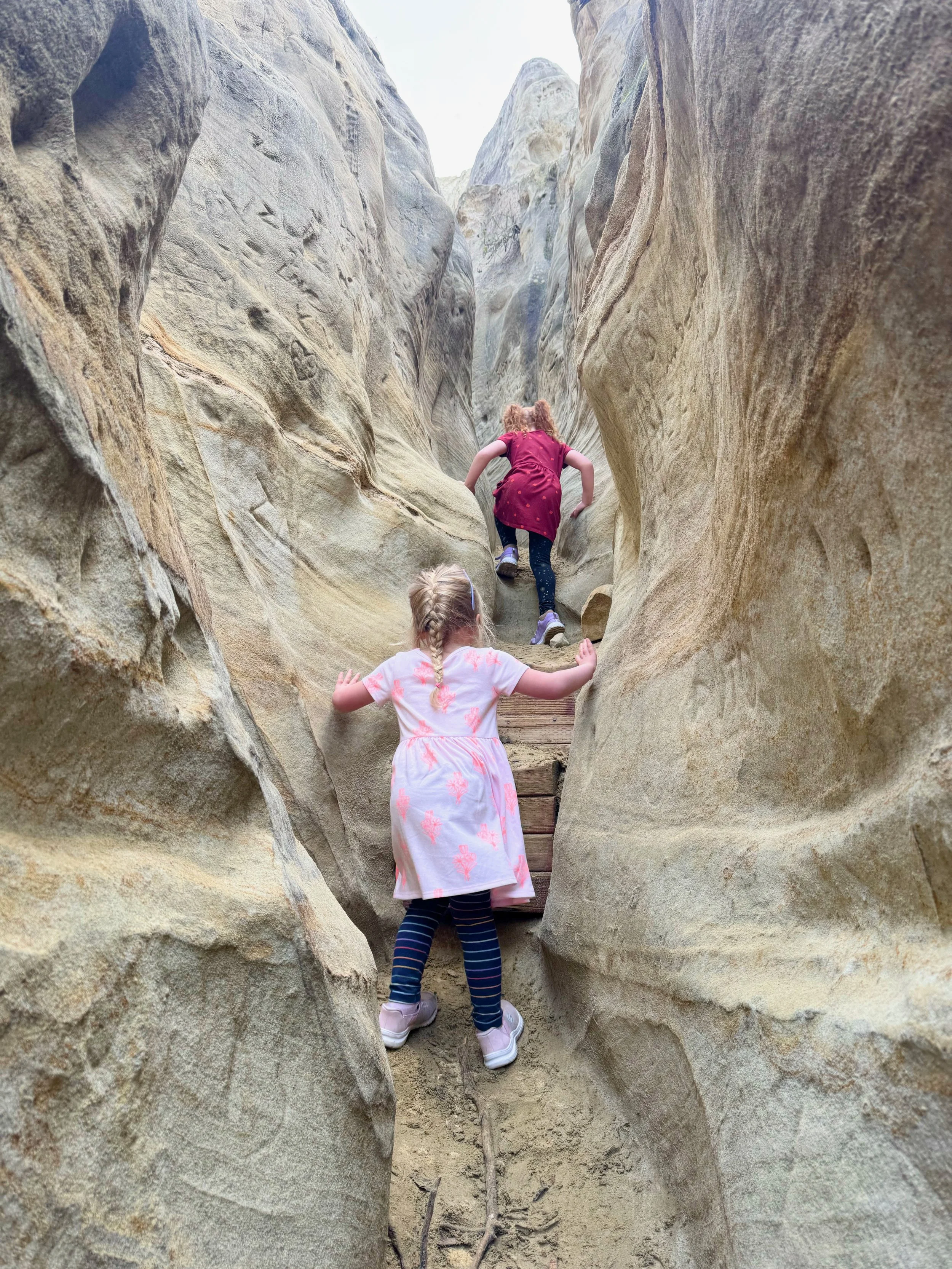 Our Mid-Winter Escape to San Diego with Kids: Ultimate Guide of What to Do