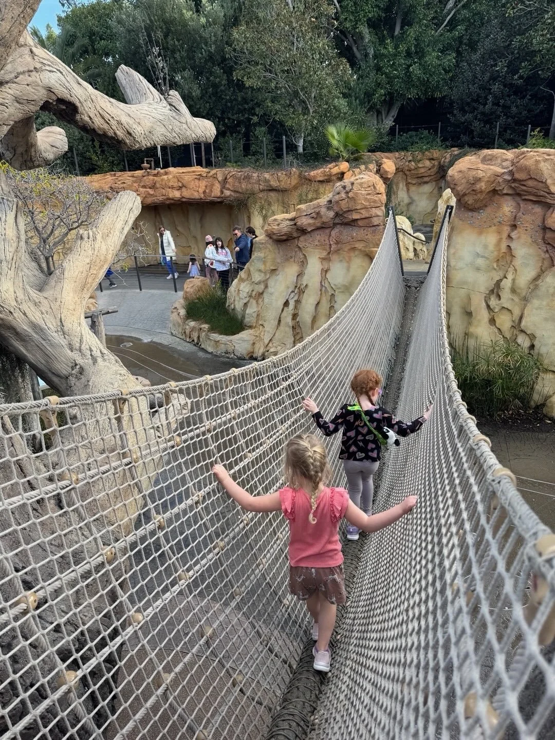 San Diego Zoo - Dare I say.. actually worth the high admission price.  I loved starting with the free bus tour around the zoo - it gives you a great lay out of the zoo, ideas of must see spots you want to get to on foot, and lets you see lots of anim