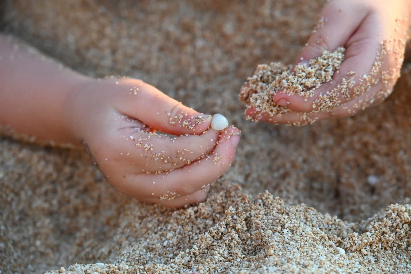 Tiny hands, big discoveries. ✨
Shells, smooth stones, and little sandy treasures&mdash;sometimes the best beach moments are the quiet ones.

Ke Iki Beach on the North Shore of Oahu

#beach #northshore #oahu #oahuhawaii #keikibeach #beaches #travelblo