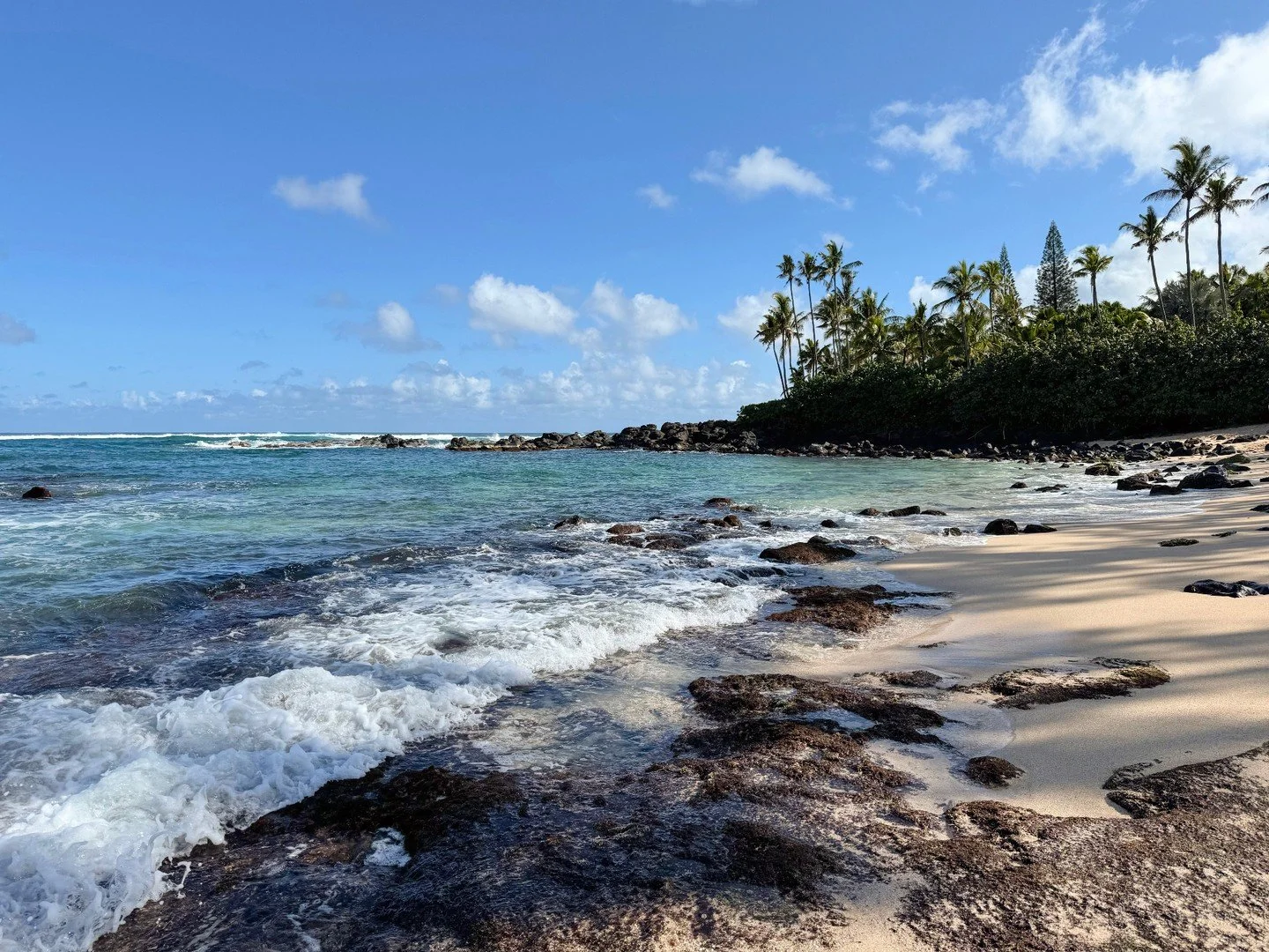 Some places really do look like the postcards. Oʻahu never disappoints.
Question for you: sunrise beach walks or sunset swims?

#oahu #postcard #travel #hawaii #visitoahu #turtlebeach #northshore
