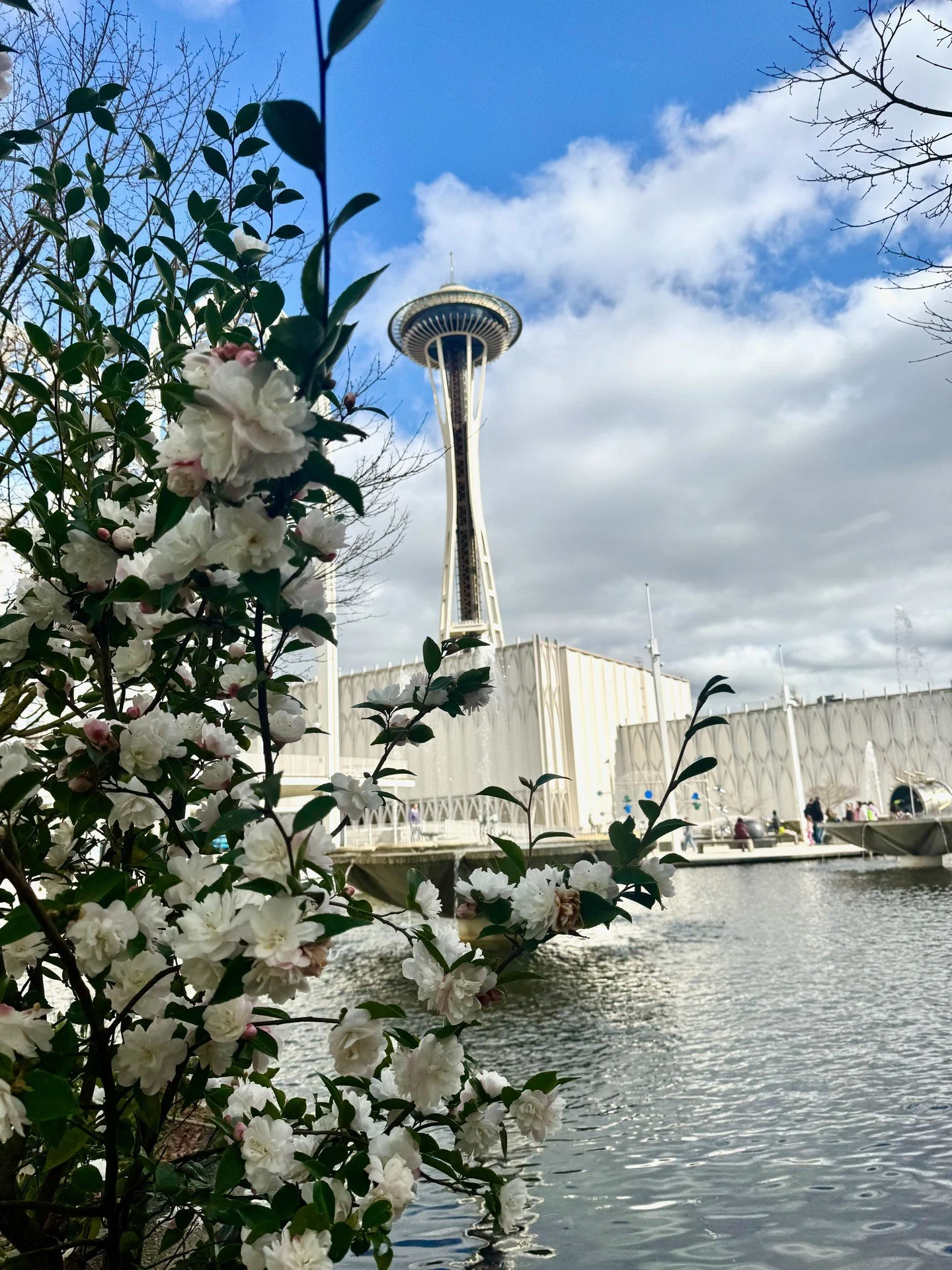 Exactly one more week till the first day of spring! Seattle is still experiencing rain, chilly mornings and cloudy days but those moments of sun, the blooms around the city, the promise of warmer days in the forecast are giving me life at the moment.