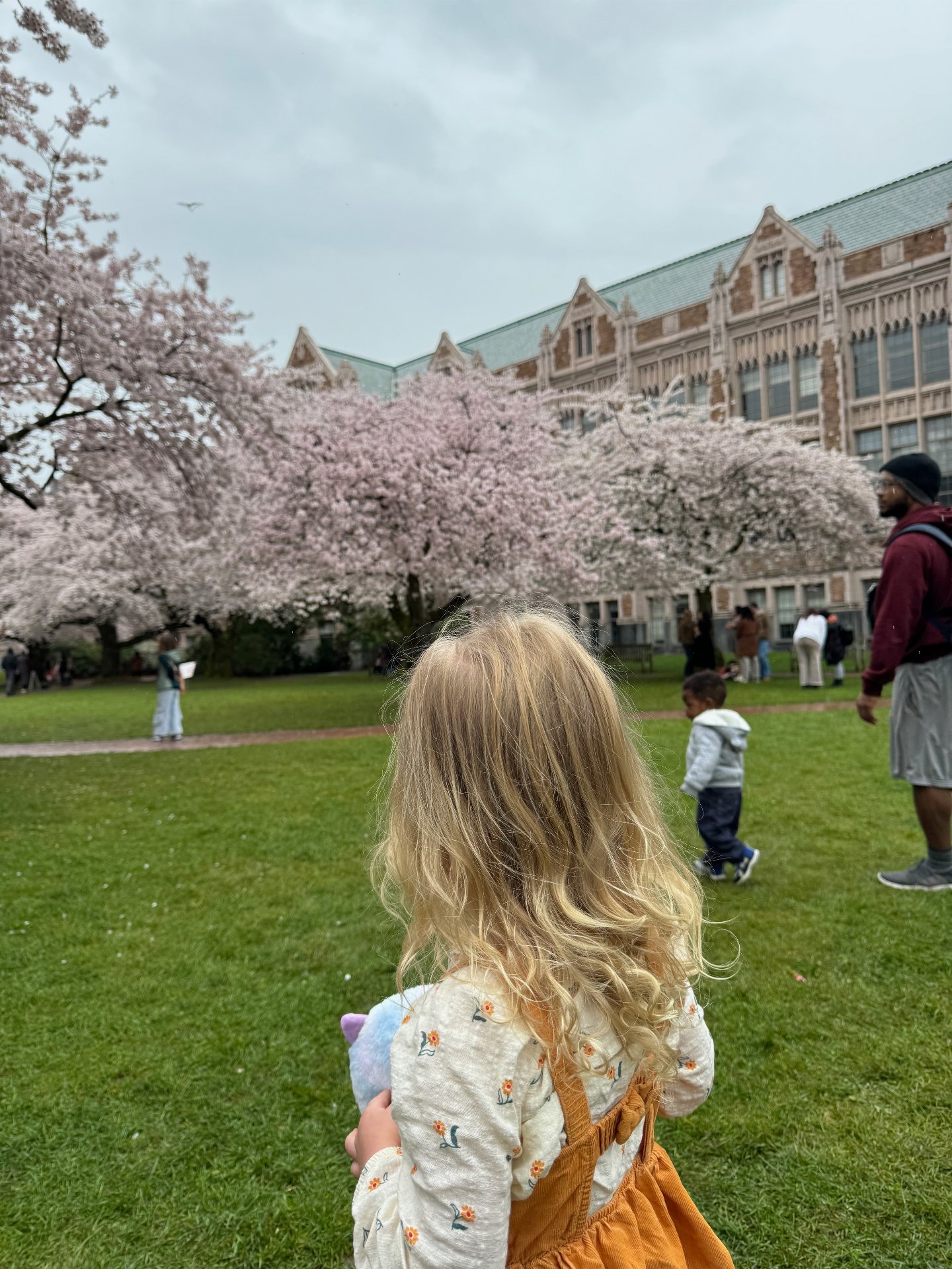 Ways to avoid the crowds while enjoying the cherry blossoms at University of Washington's Quad:

- Visit during UW's spring break: March 21st - 29th, 2026.  There will be less students on campus and you won't have to give way to students making their