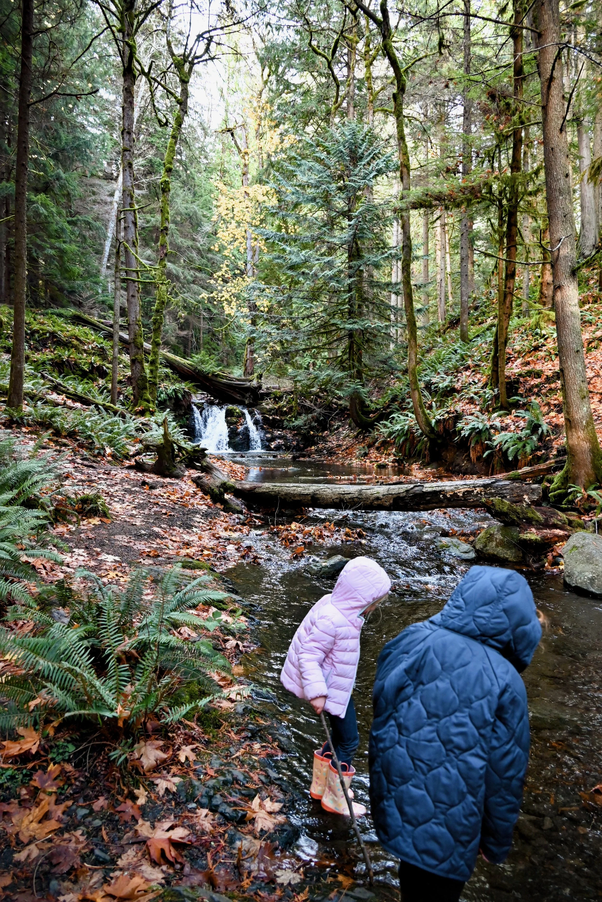 Orcas Island in November with Kids: A Fall Weekend Itinerary