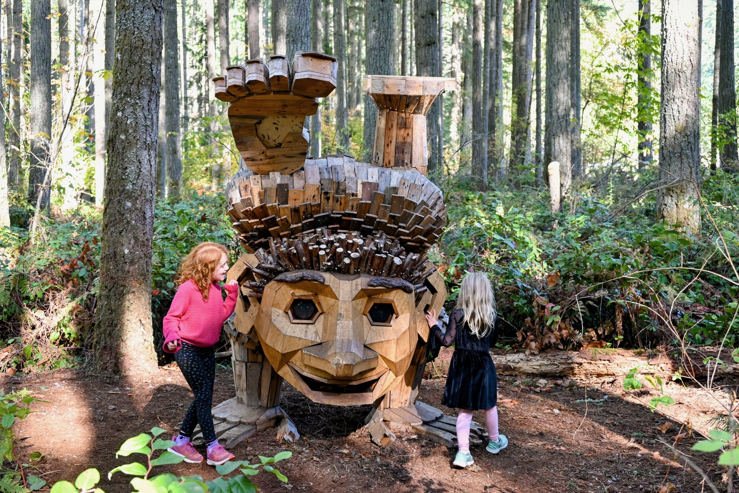 TROLLS: A Field Study in the Pacific Northwest: A guide to exploring the 12 new Trolls in Washington