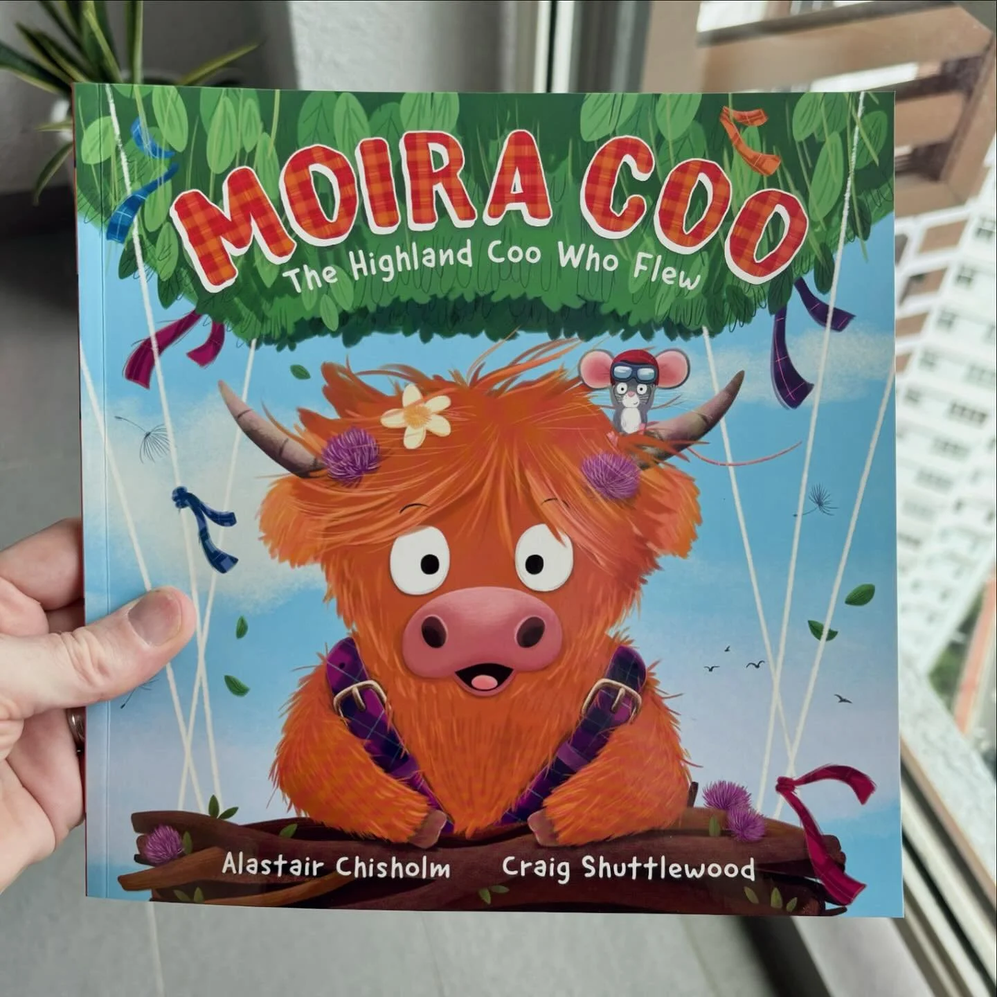 Moira Coo has landed! A lovely story written by the brilliant @alastairchisholm about a highland cow with big dreams 🌟 

Published by the wonderful @hachettechildrens 

#hachettechildrens #kidlitart #illustration_daily #moiracoo #childrensbooks #hig