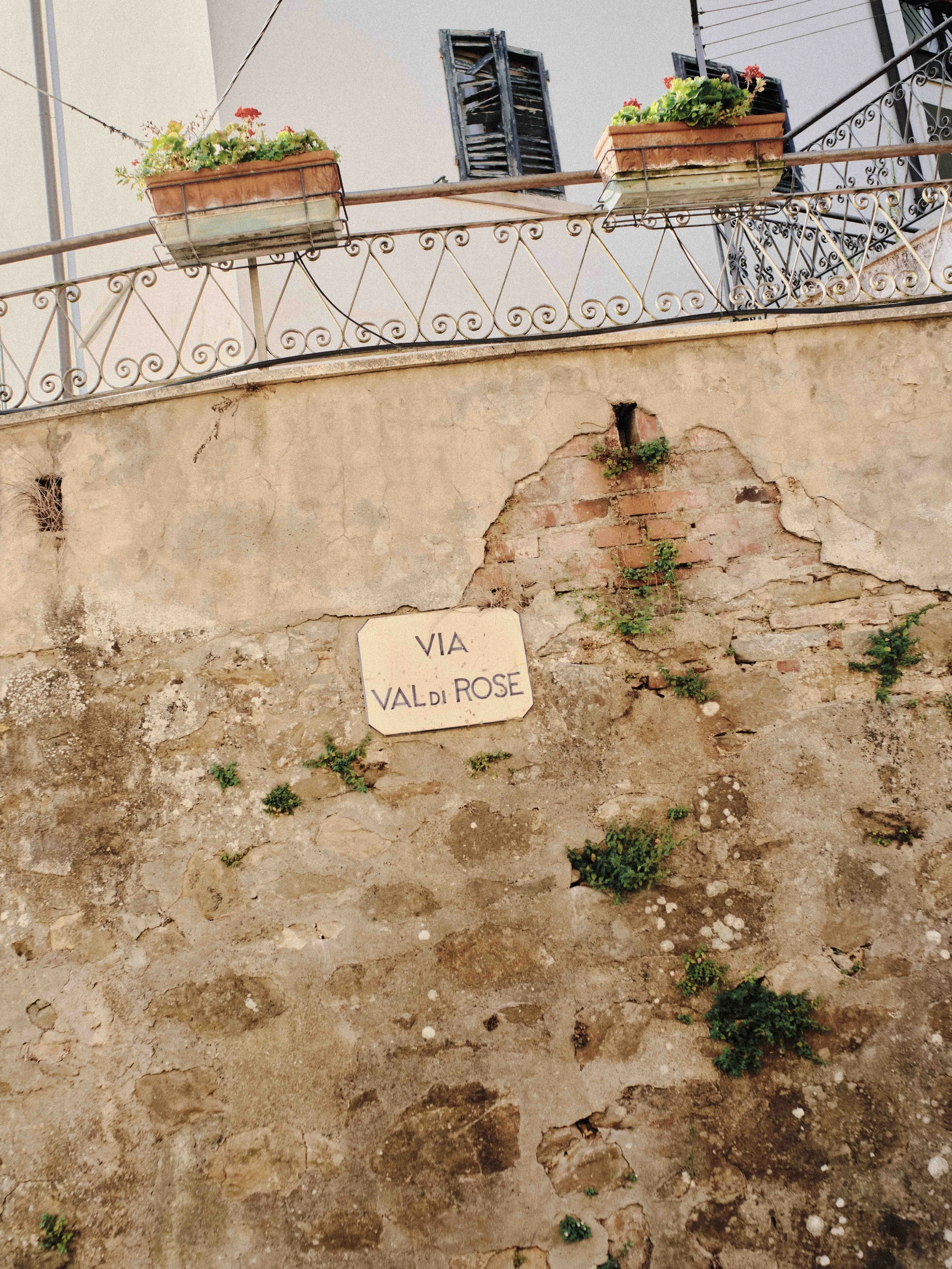 JHS_Valdirose-20.jpg