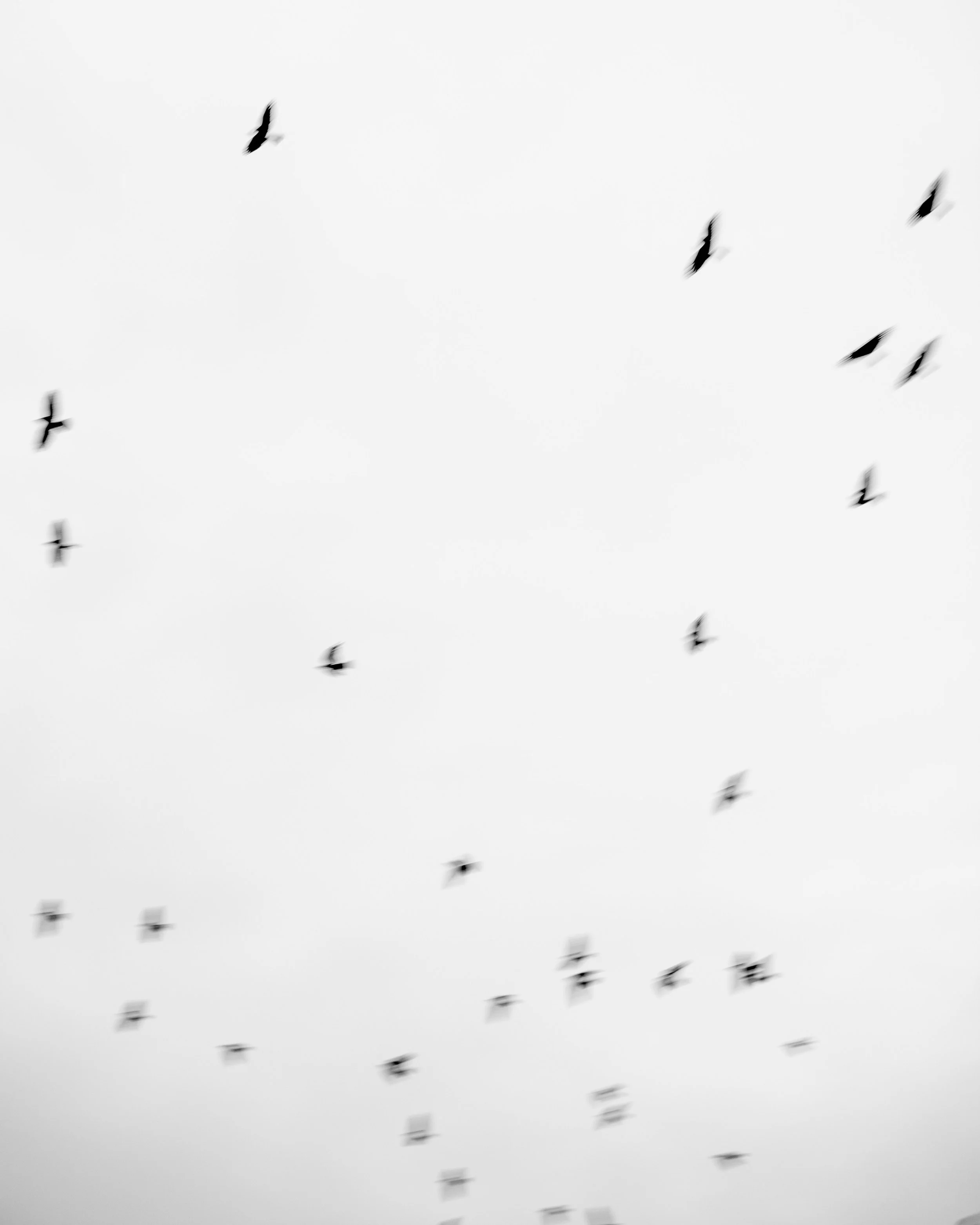 ETTC_JHS-7.jpg