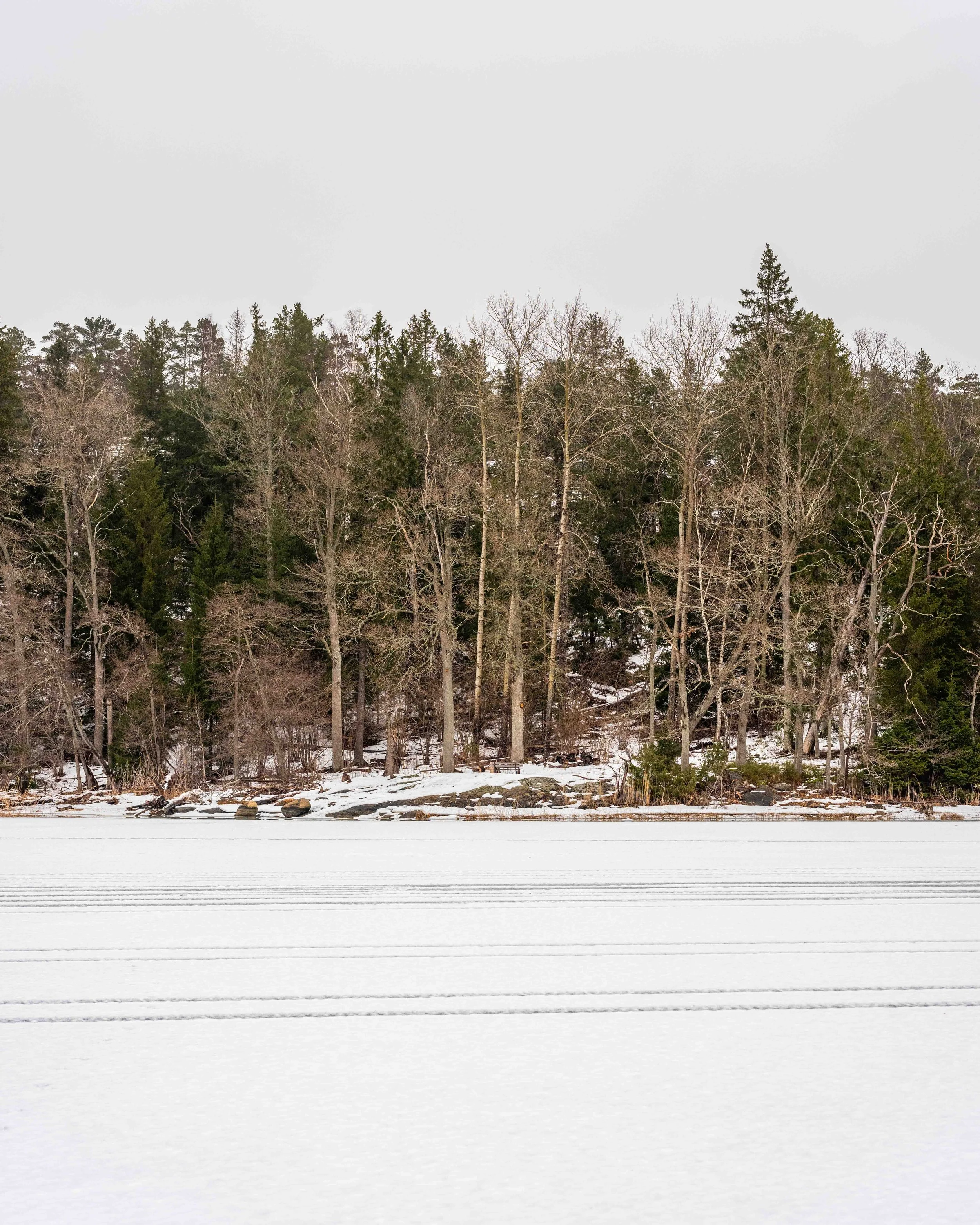 ICE_JHS-2.jpg