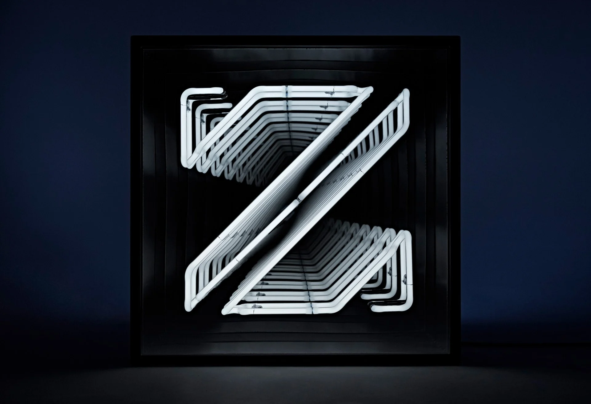 NEON_ZAP_50669_RTF_WEBSITE copy.jpg